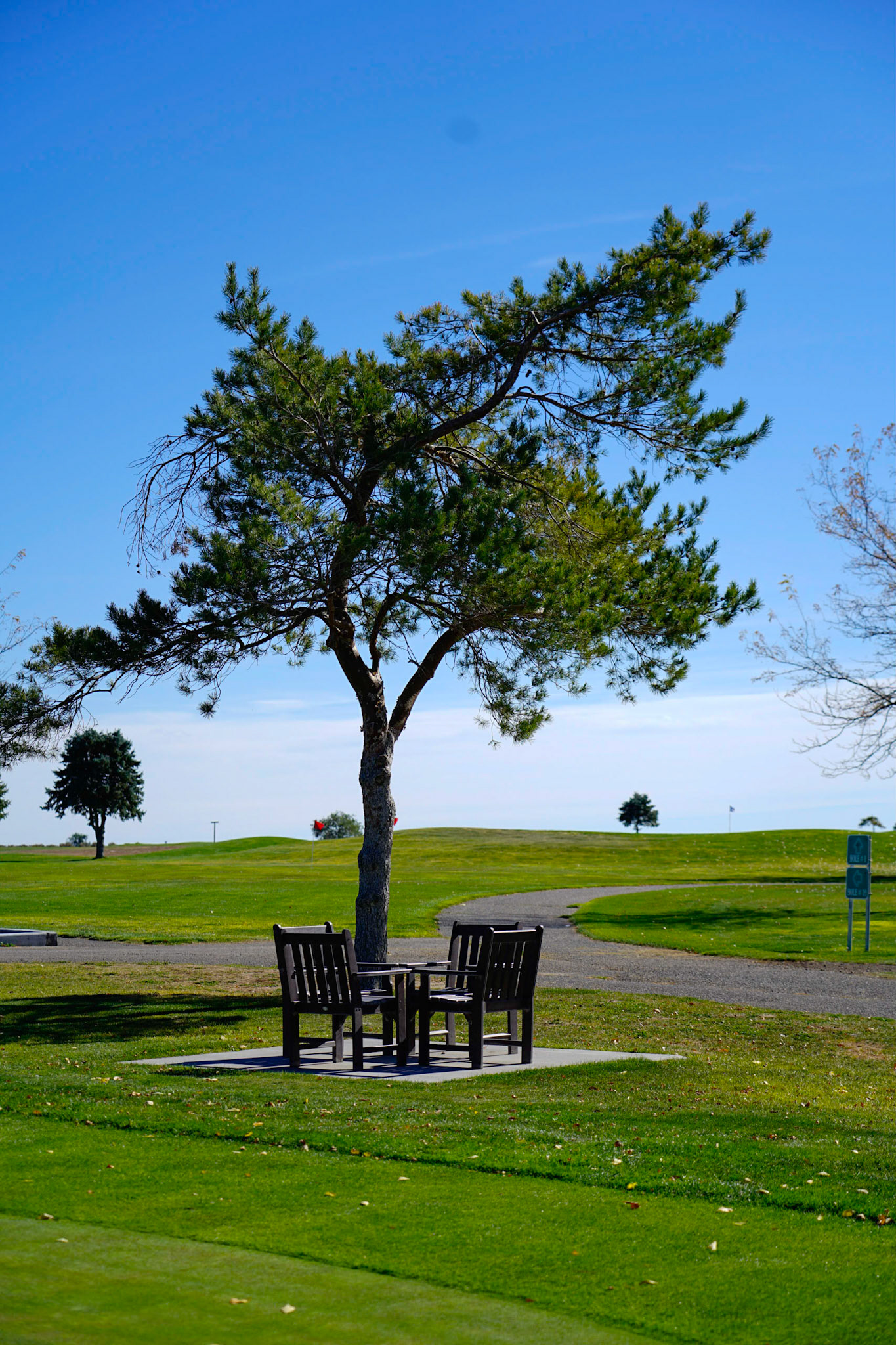 5. Table for no one, Empty patio set beside putting green, 20201020, Silver Sage golf course, Miller, Enjoyed the aftenoon prior to leaving on a work trip and found the serenity of the golf course, JPG, ISO 50 66mm, f/4, 1/640 sec