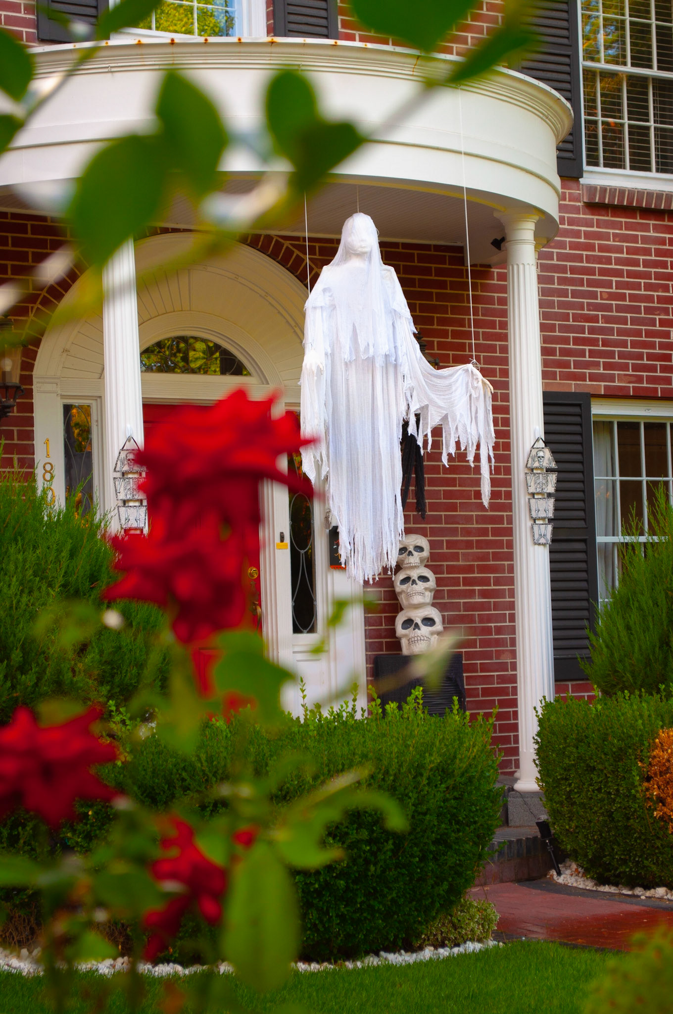 Always Watching: Harrison Blvd Home, positioned the shot to frame the hanging ghost with in the rosebush outside the walk way, 20201011, Harrison Blvd, MILLER, I enjoy this time of year and this particular street very much and this shot provokes is the ghost watching us, or are we seeing something through the bushes we aren't suppose to? Camera Settings: Nikon D5000 ISO 200, 55mm f/6.3, 1/40s