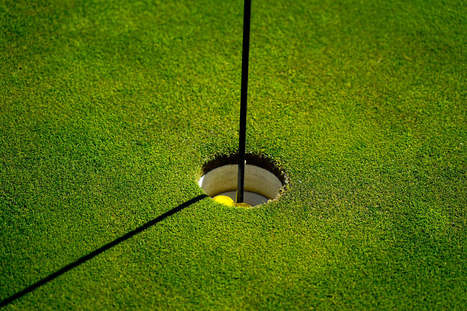 1. Hole: Practice hole, stagnant and no one playing in fact a fall leaf is in the hole, 2020 1020, Silvers Sage golf course, Miller, Enjoyed the afternoon prior to leaving on a work trip and found the serenity of the golf course, JPG ISO 50 105 MM F/4 1/320SEC