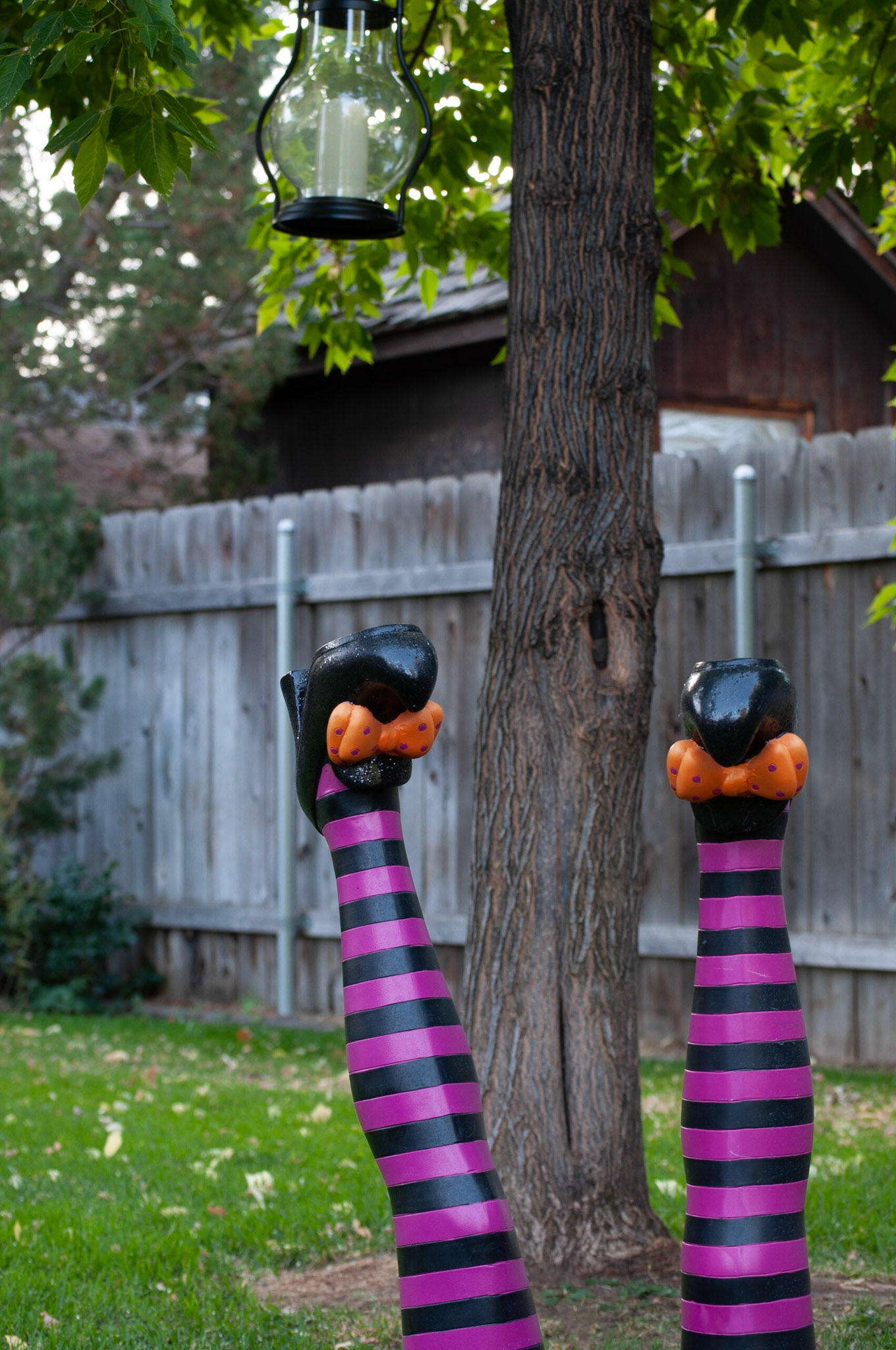 This was witch legs shot at 1/15s F8 and ISO 200, Still shot to show depth, 20200926, Backyard, Miller, This was my favorite outcome when adjusting my ISO/F/Shutter speed. Out of all the pictures, this had the most color vibrancy while showing depth. Camera Settings: Nikon D500, ISO 200, 55mm, f/8, 1/15s