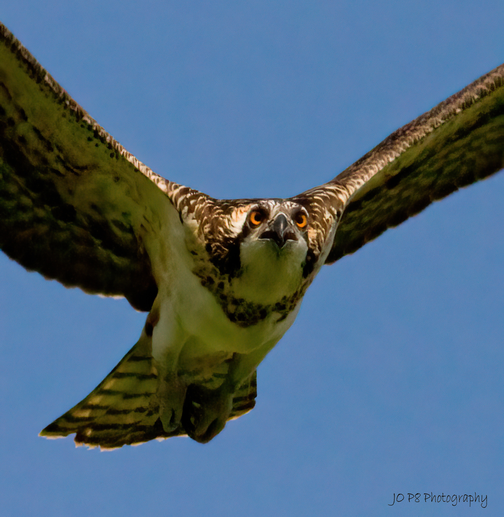 I'm going to get you