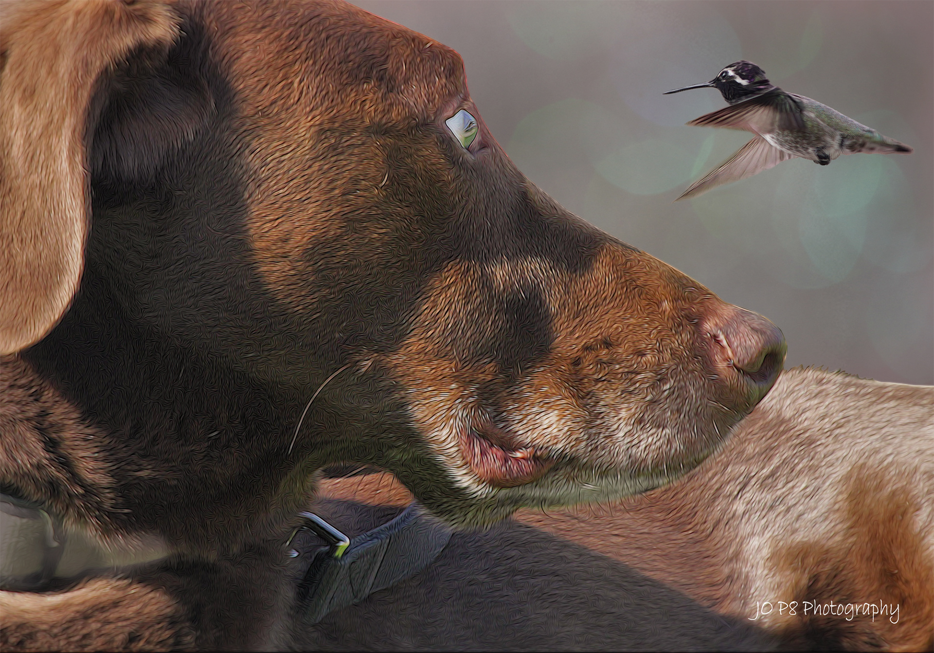 Riley Meets a New Friend