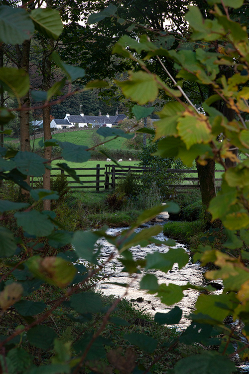 #2869 Far Sawrey