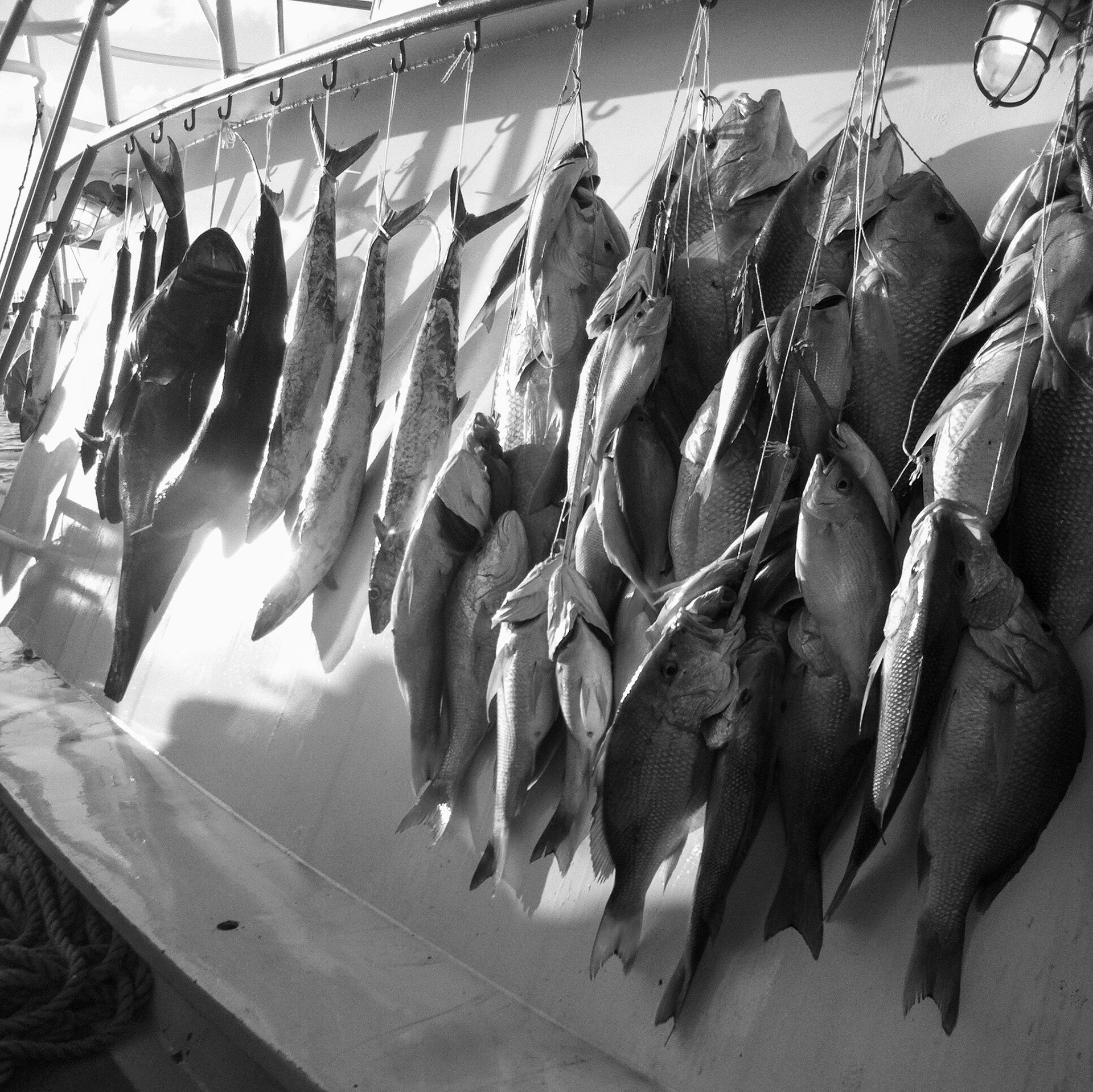 Processed with VSCO with c1 preset