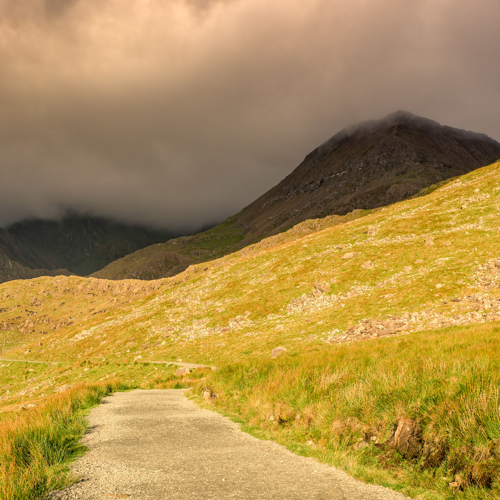 Early mornning light falls on the Miners Track, with a dark dramatic sky in the background