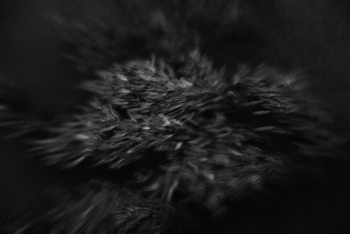 Project Limbo