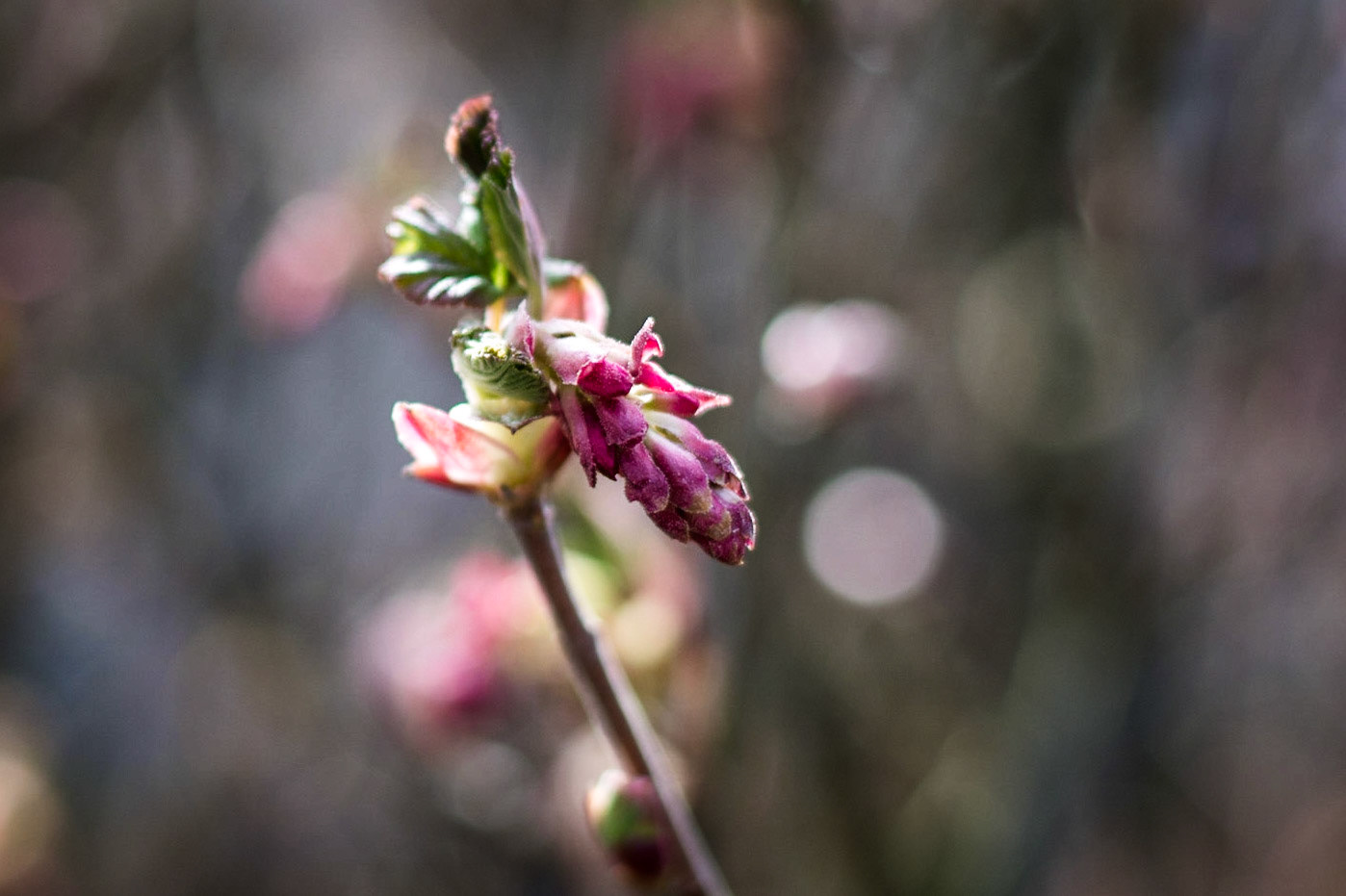Langsam kommt der #Frühling :-)