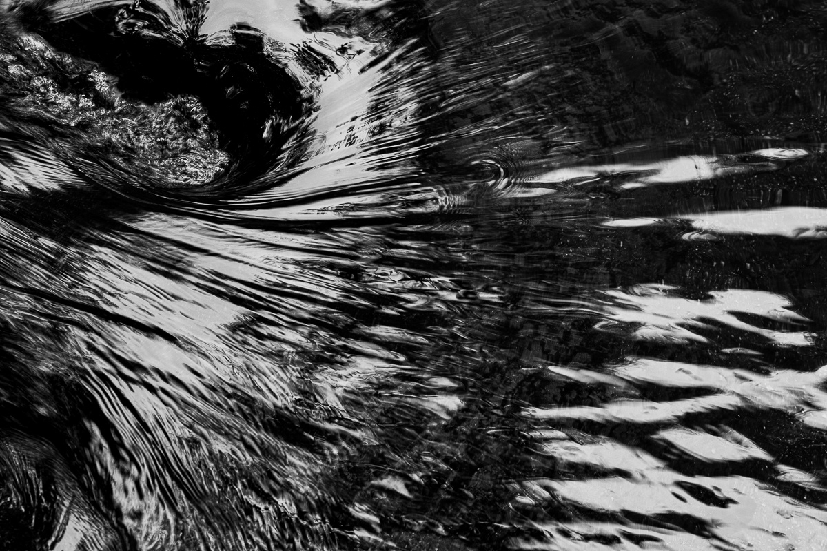 Abstract #6