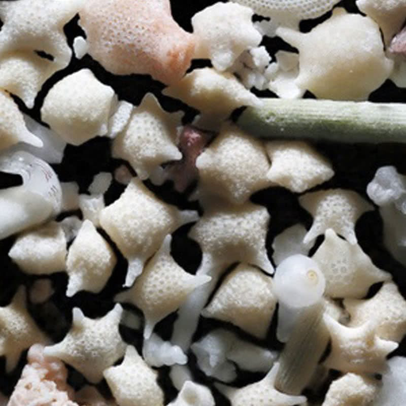 Sand grains