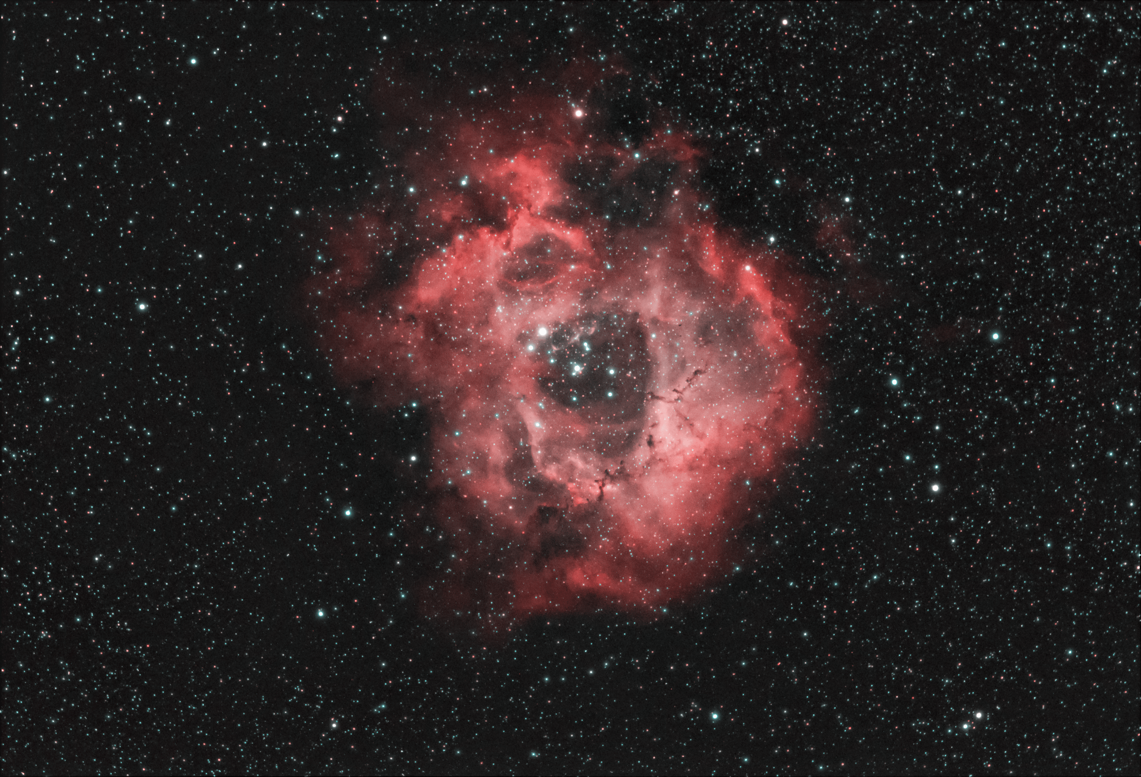 Caldwell 49 - Rosette Nebula