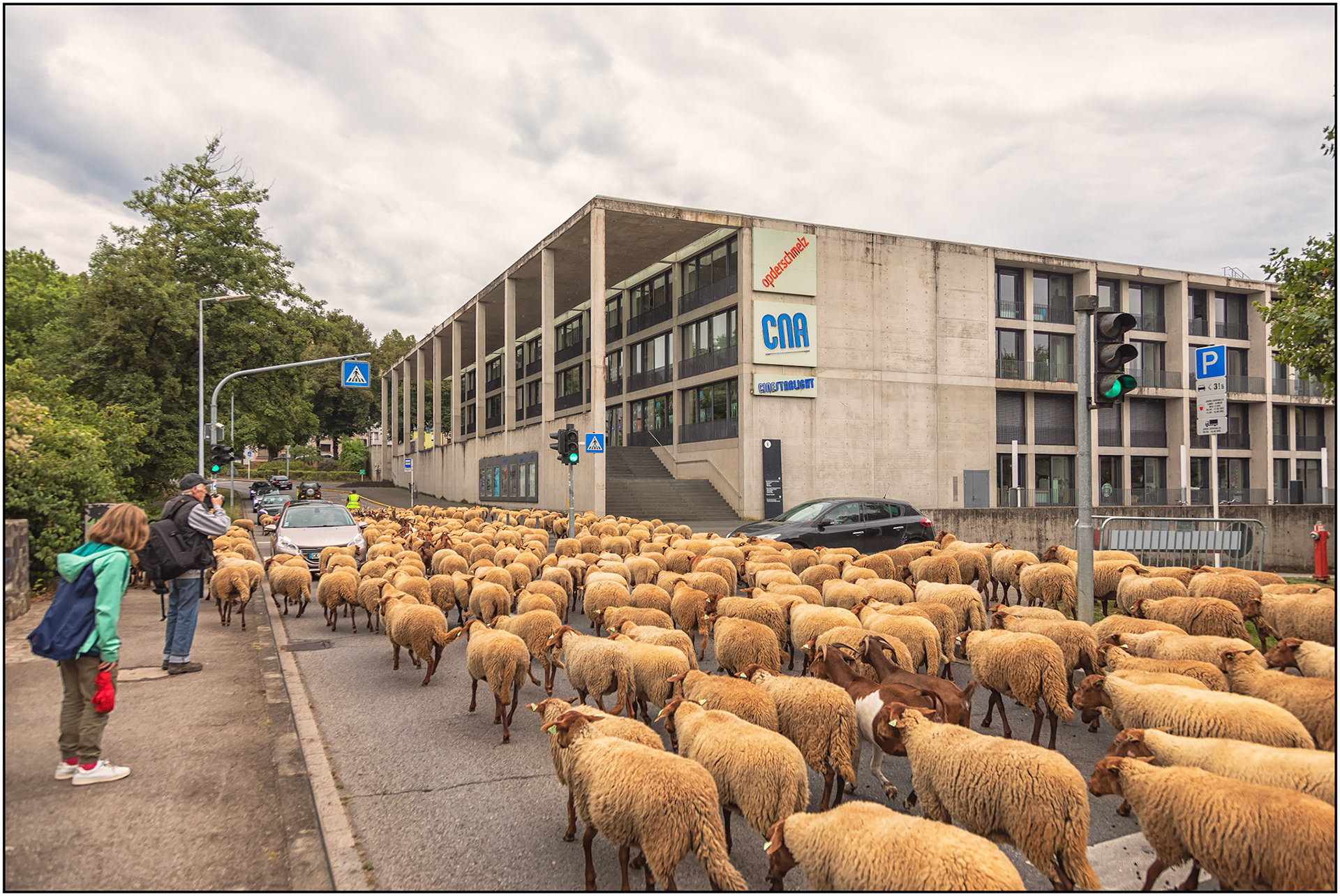 Photo Yves Bodry