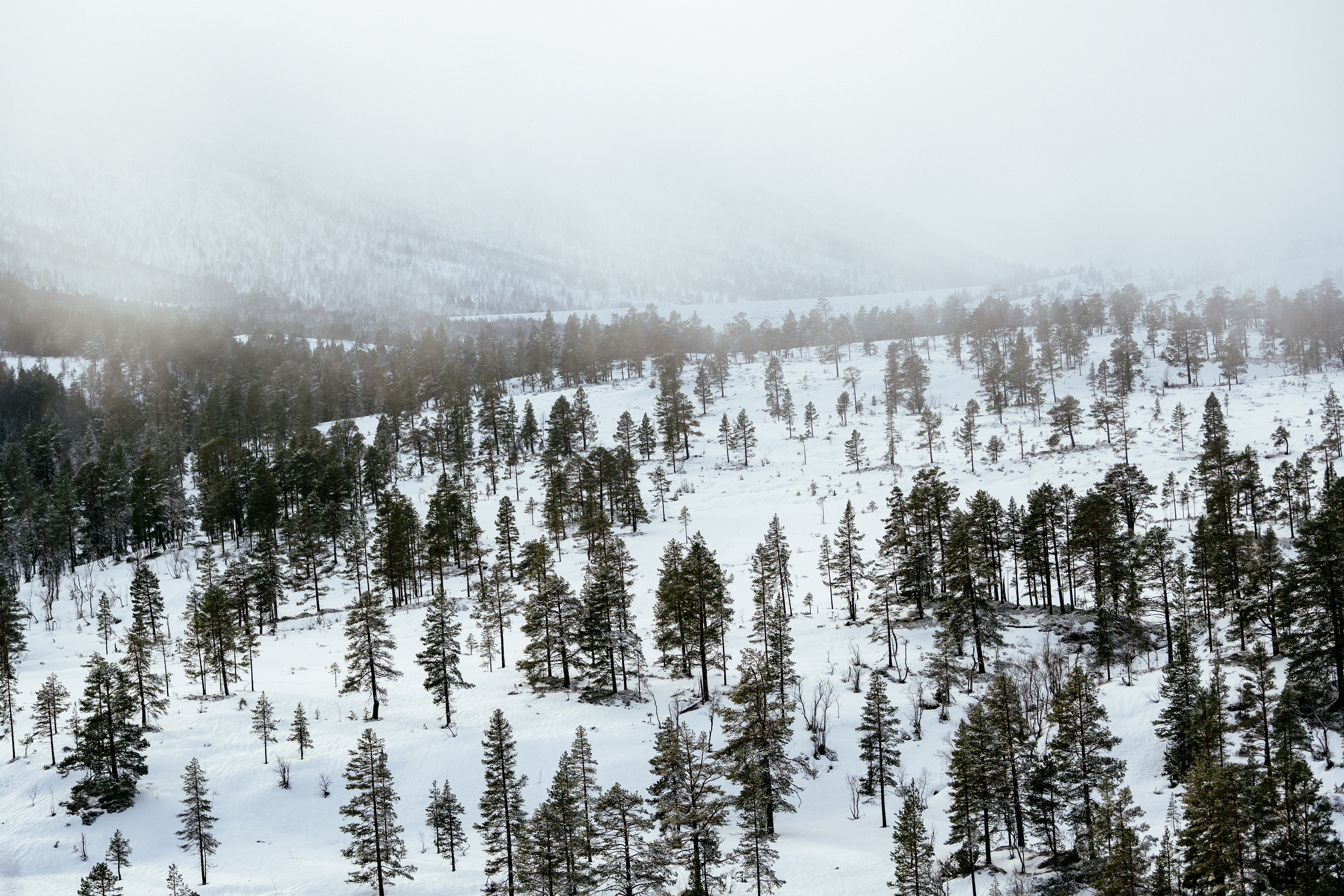 Tor Berge Winter Project B Roll