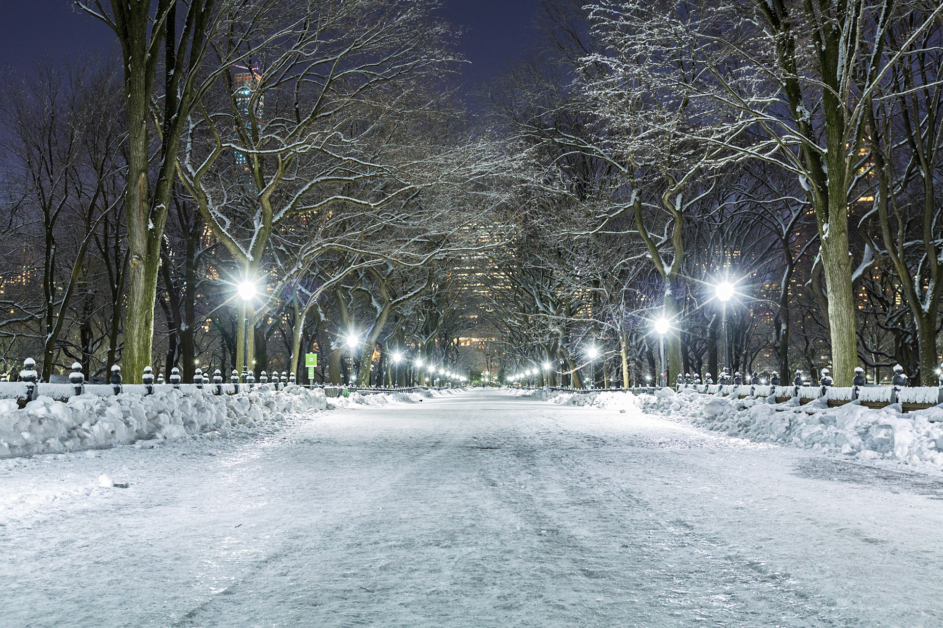 heidger marx photography - Central Park at night