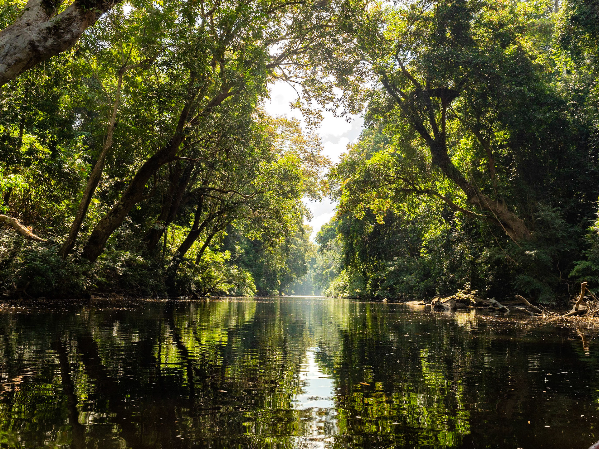 The shade of overhead trees, a placid river, birds chirping - all overshadowed by overly vociferous frog!

There isn't a better place to get away from crowds and civilisation, than the Black River off the Tembeling River in Malaysia