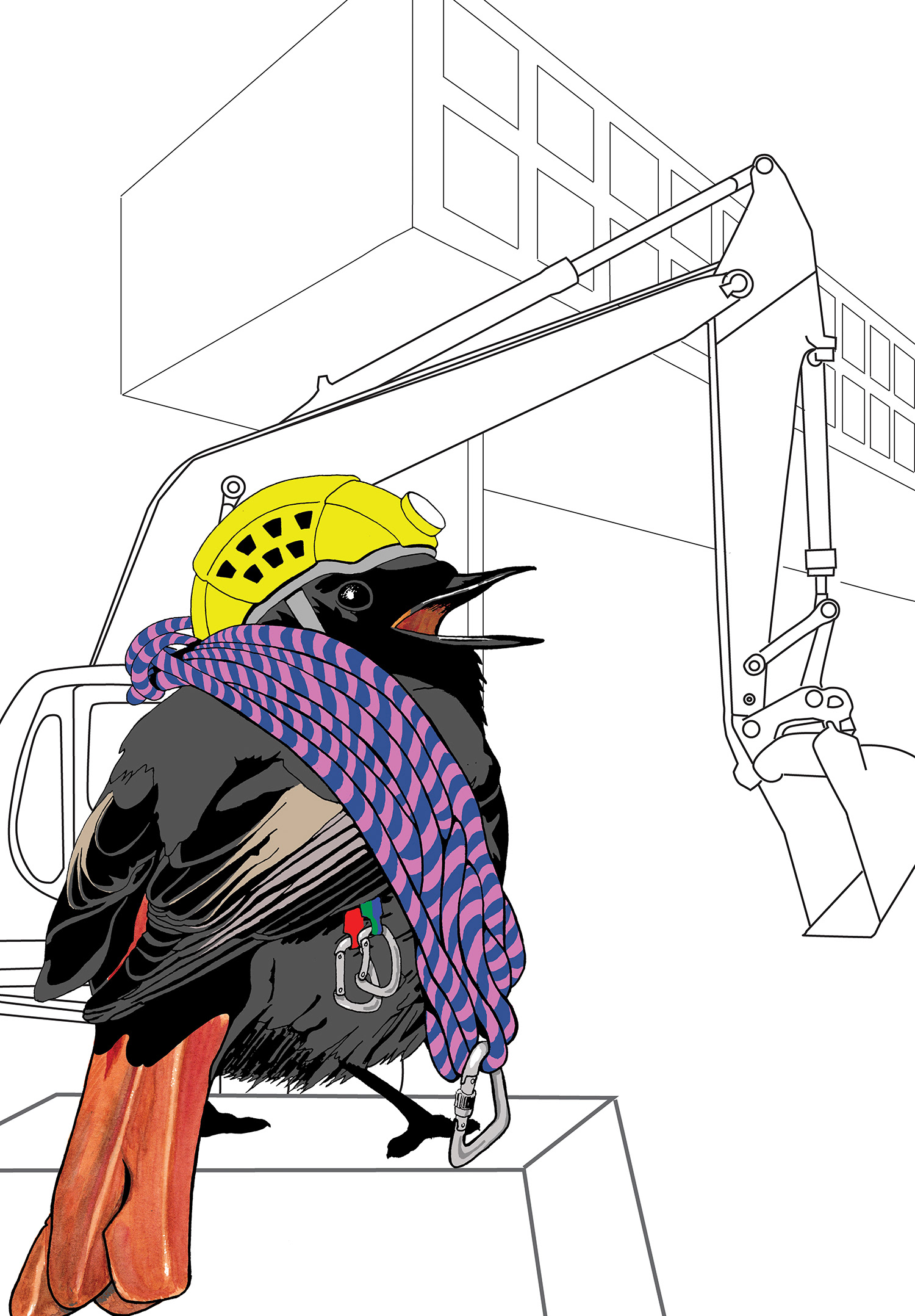 Black redstart