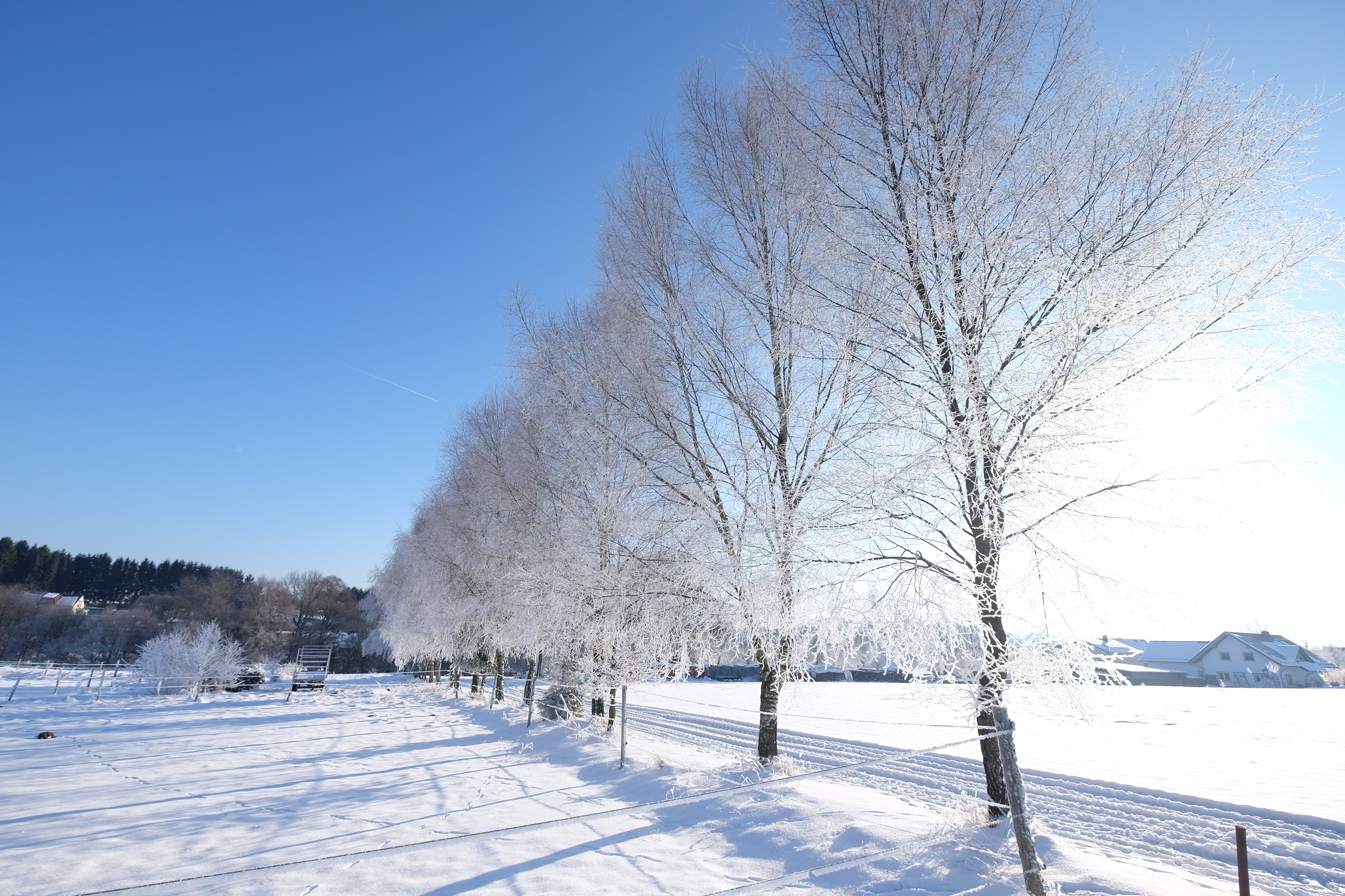Wintertime