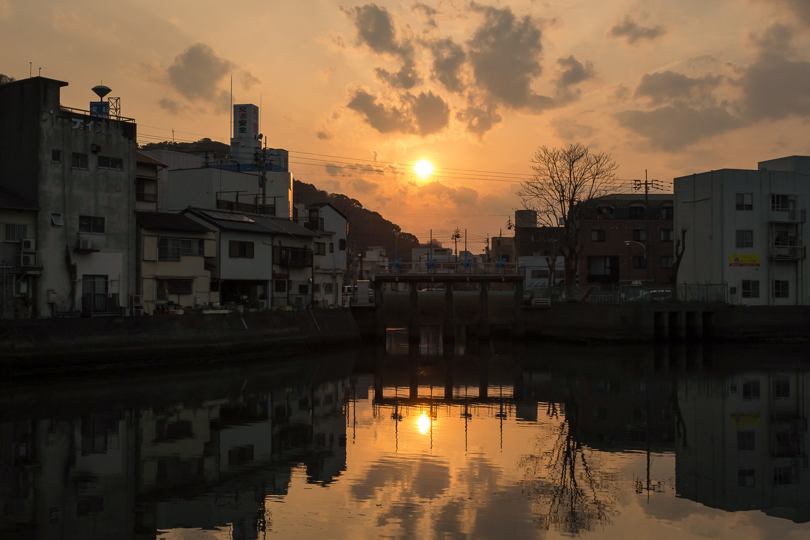Tokushima