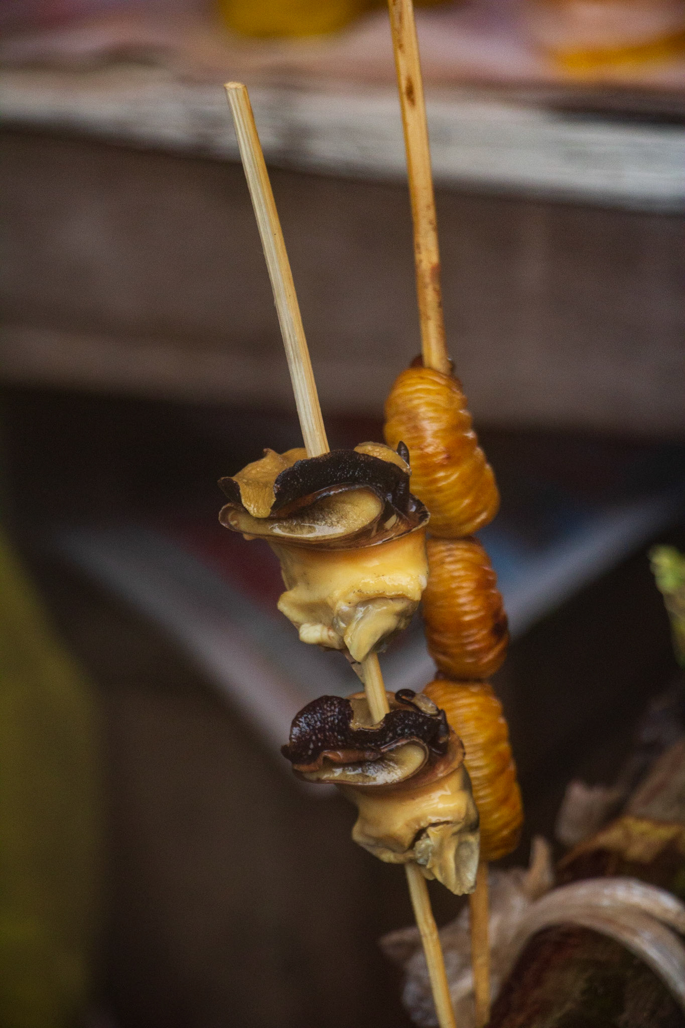 Grubs and snails.  We ate both.