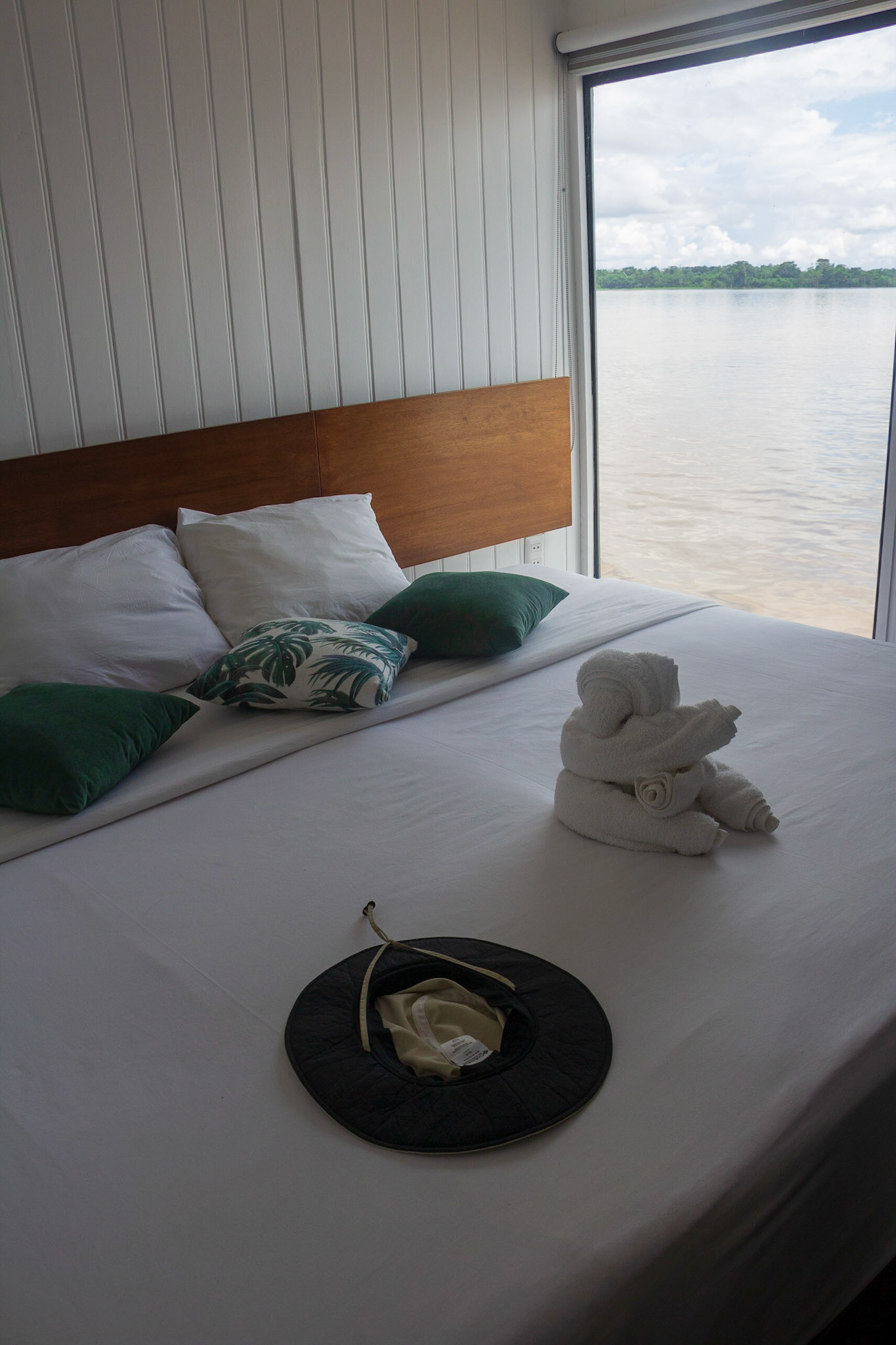 The elephant in our bedroom