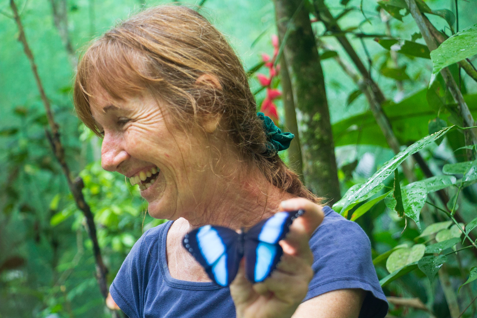 Pilpintuwasi Butterfly Farm operated by Austrian-born Gudrun Sperrer near Padre Cocha. Many "rescue animals" liberated from illegal traders are housed there.