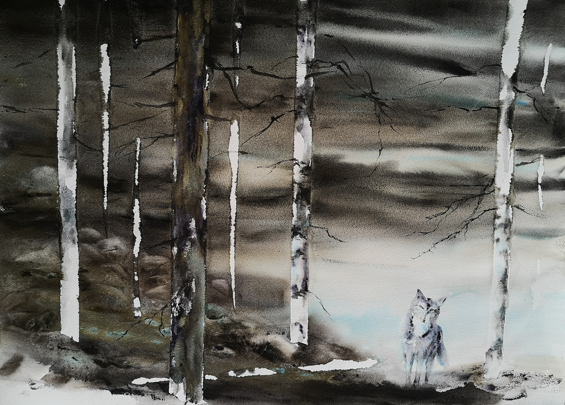 Fineart with a wolf