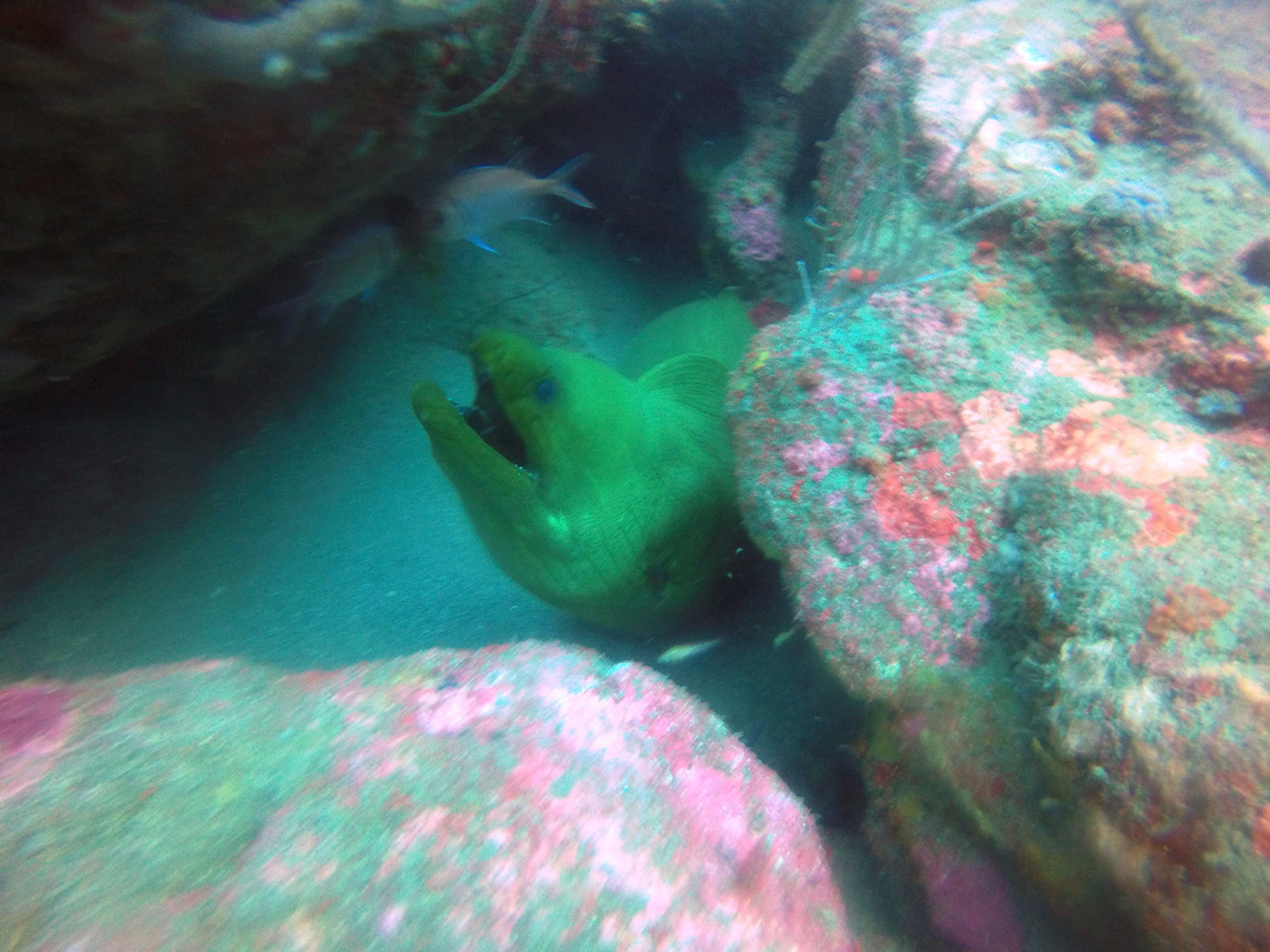 DCIM\100GOPRO\GOPR8707.
