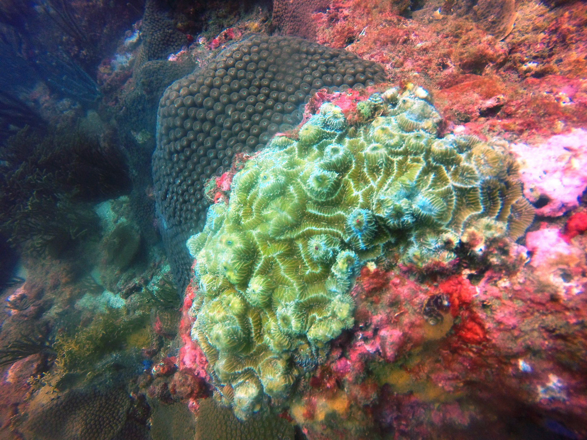 DCIM\100GOPRO\GOPR8651.