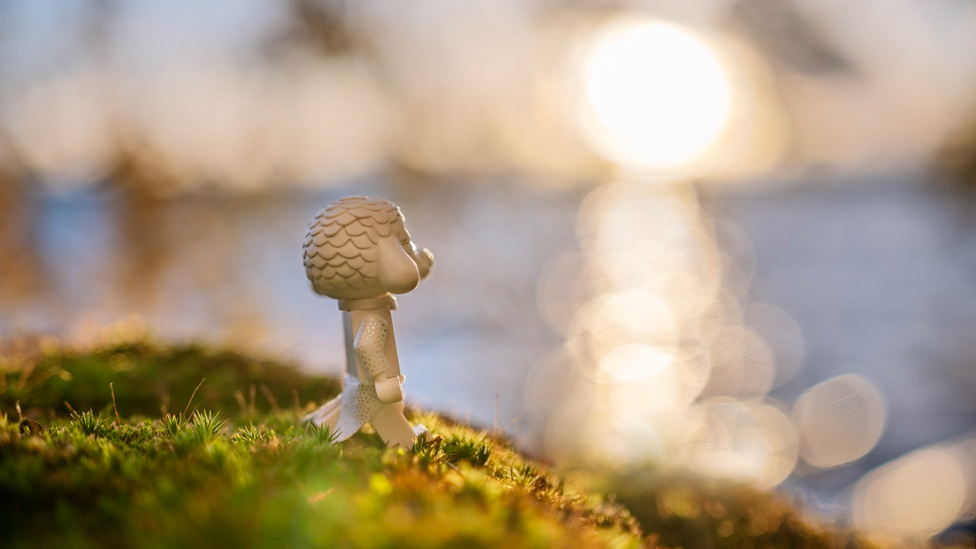 44/52 - The never-ending quest for Happiness