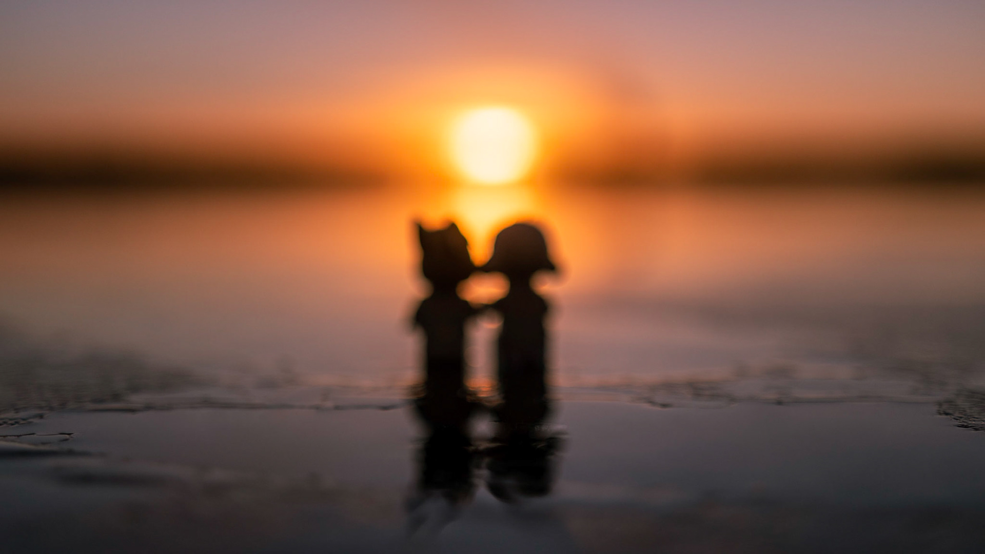 51/52 - Fear of the future