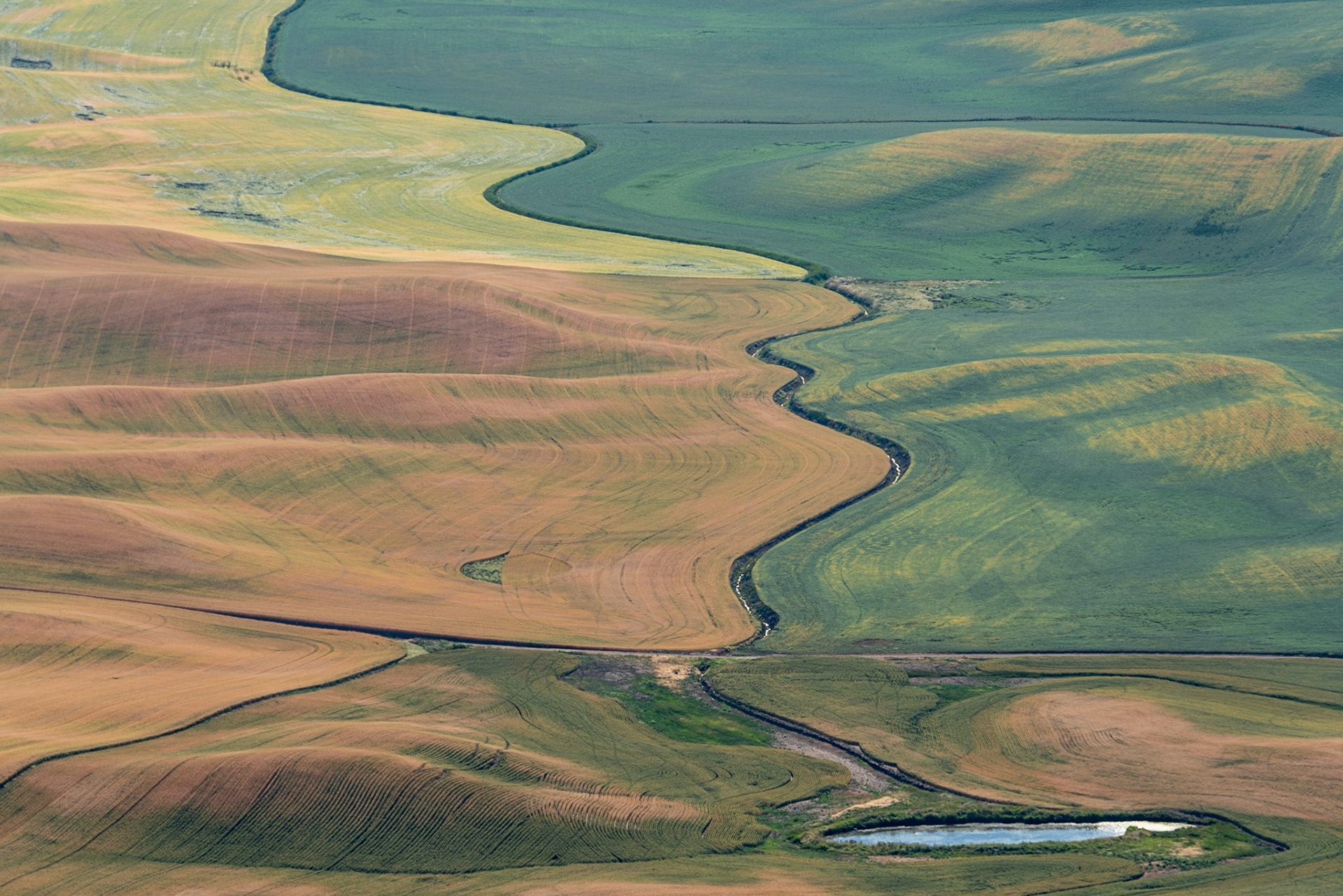 Steptoe Butte WA