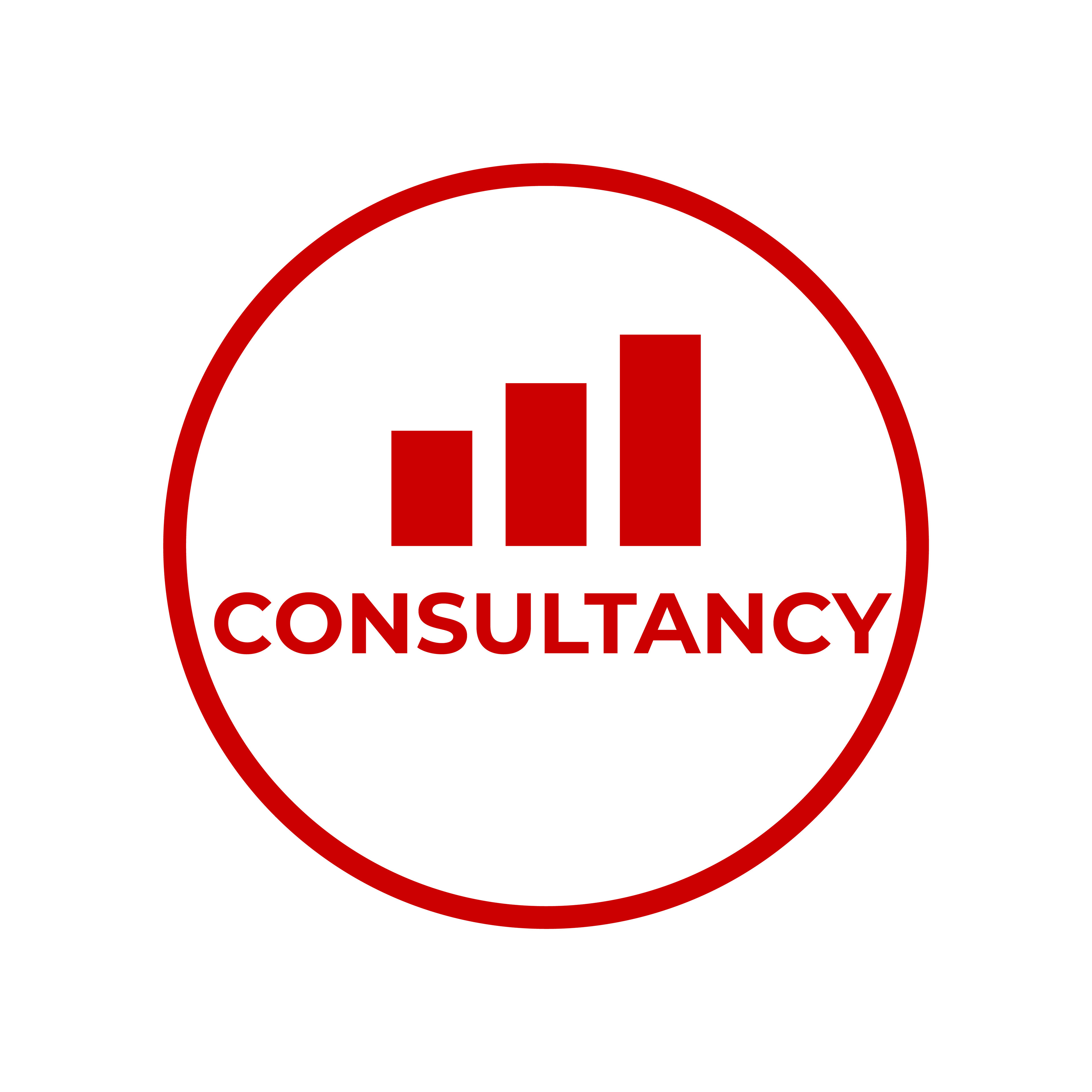 Business Consultancy