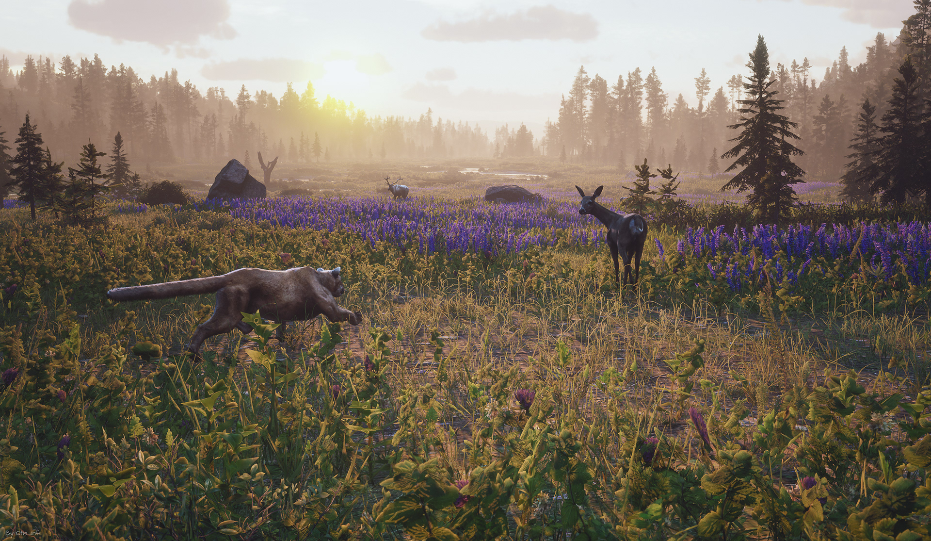 Frans Bouma - Red Dead Redemption 2