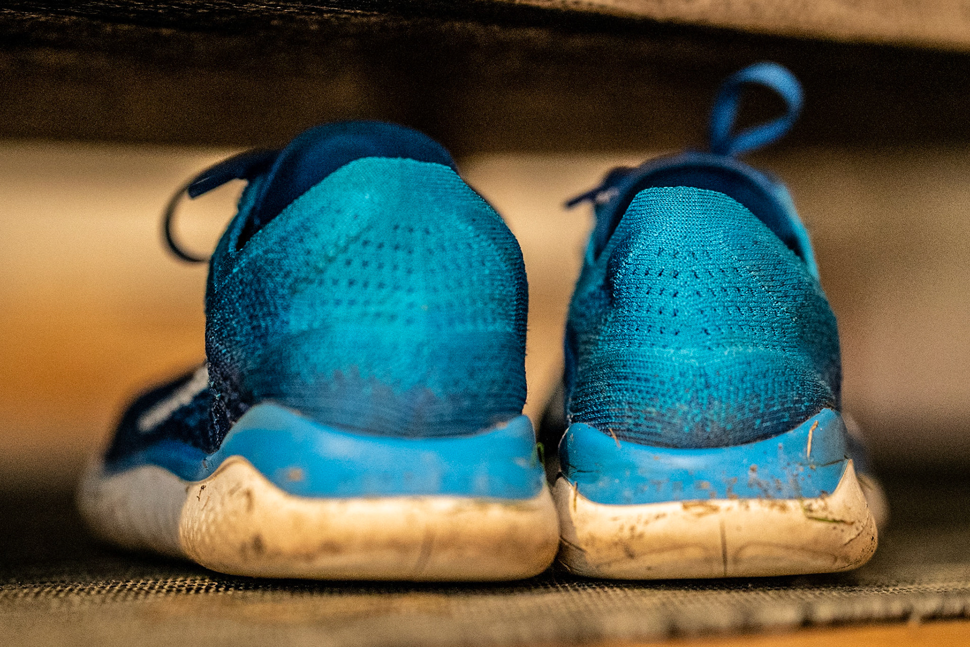 Got the trainers out today