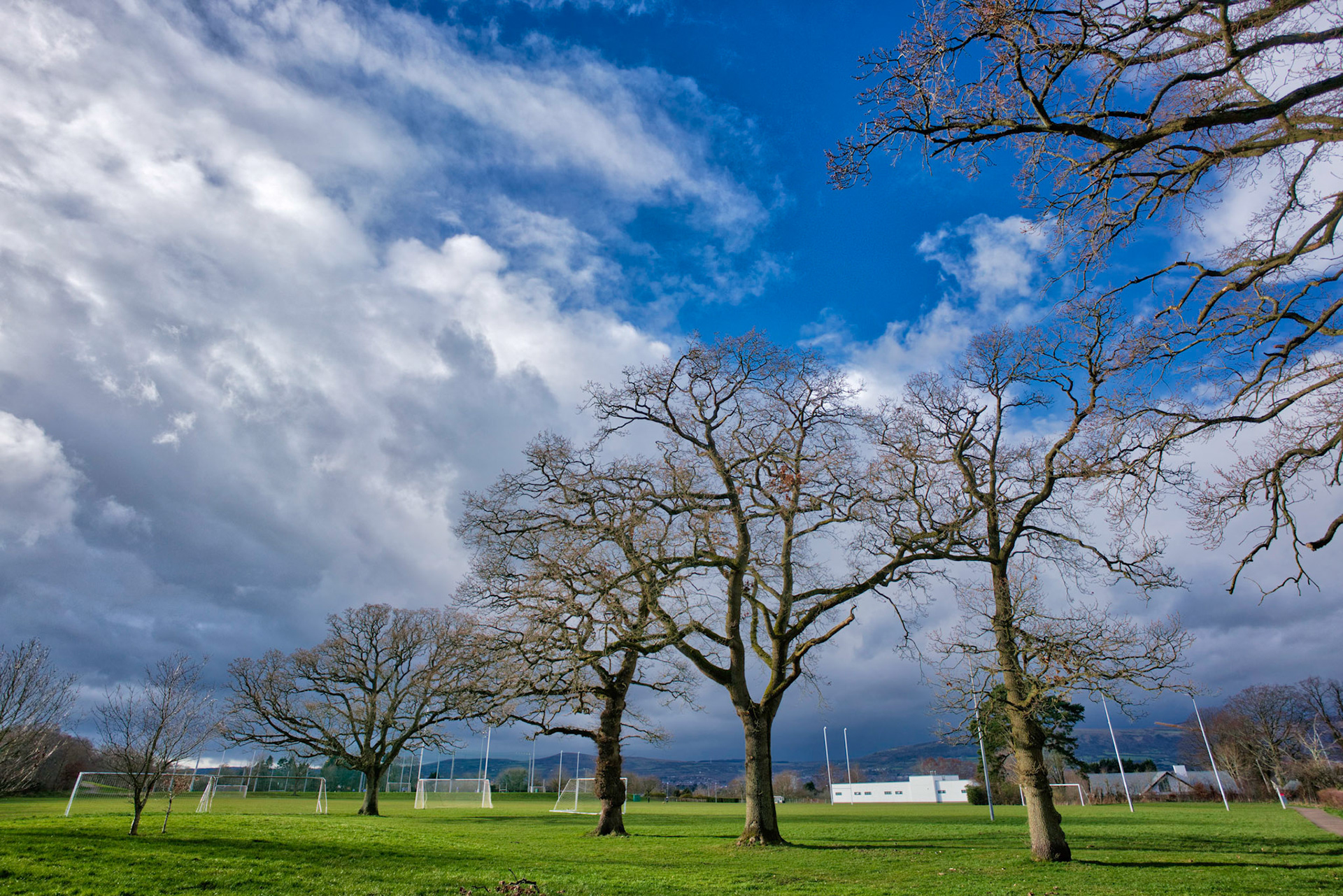 Late walk with the dog today. Last bit of blue sky before the clouds closed in