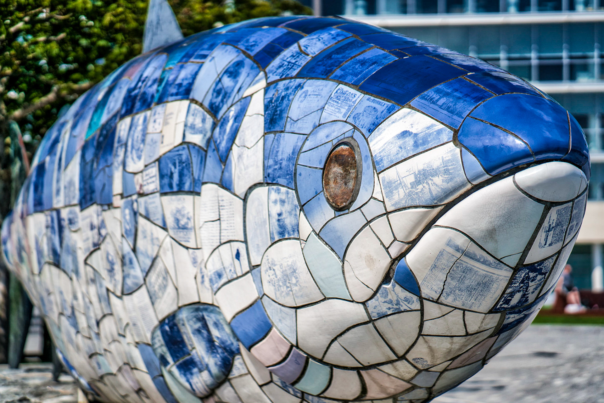 Thought I would stop by to visit the 'fish' today.