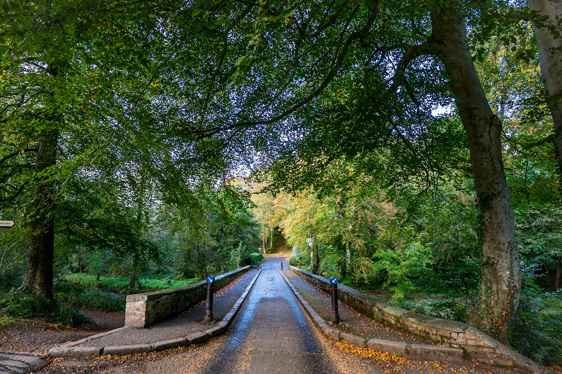 The tight bridge we have to drive across to get to Minnowburn