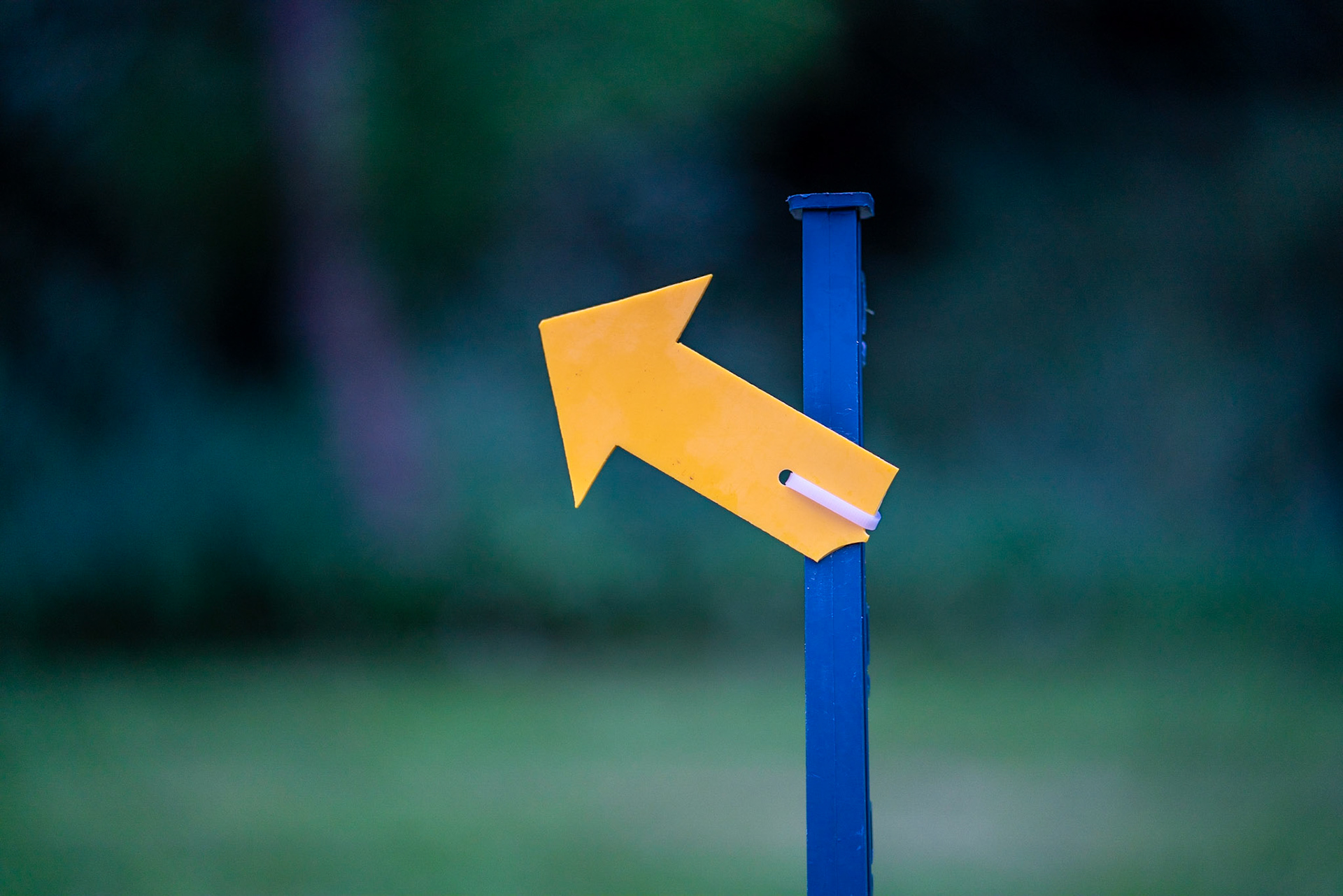 I think we go this way