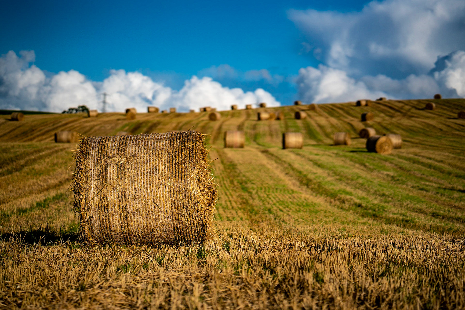 Last day of summer and the hay is made