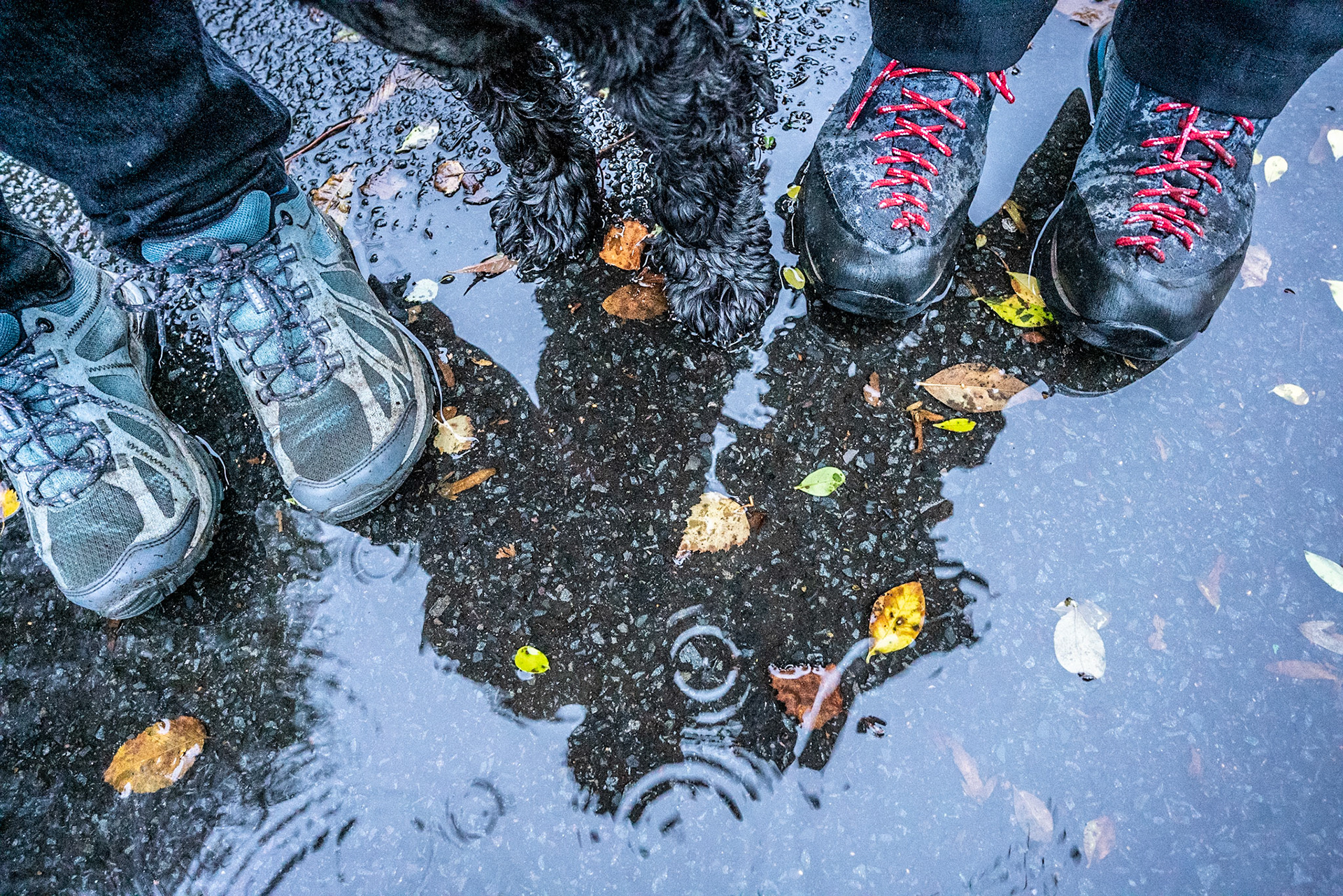 Now this was a wet walk - we got soaked