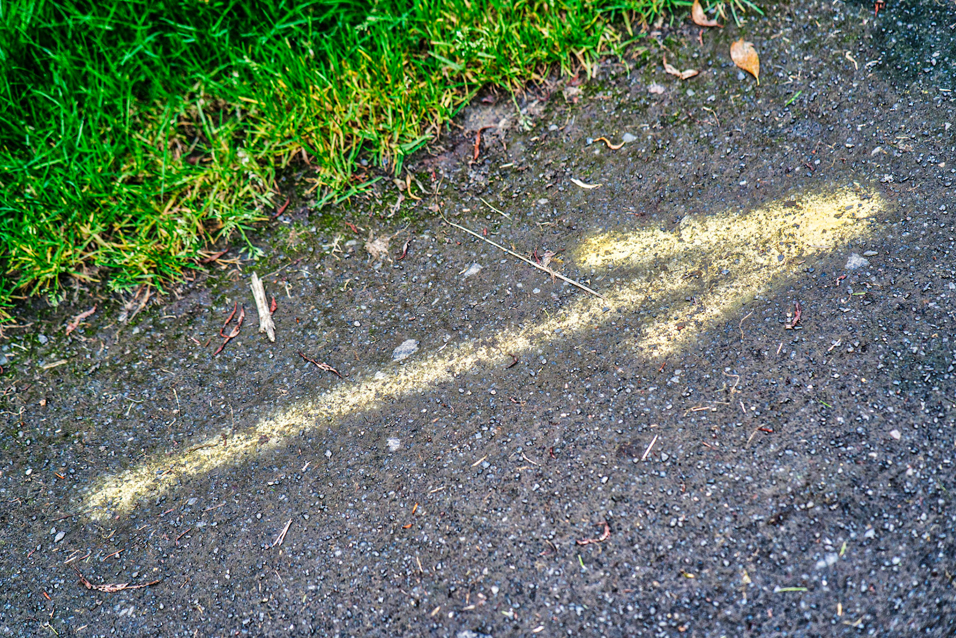 Incase you were not sure which direction to go - go that way