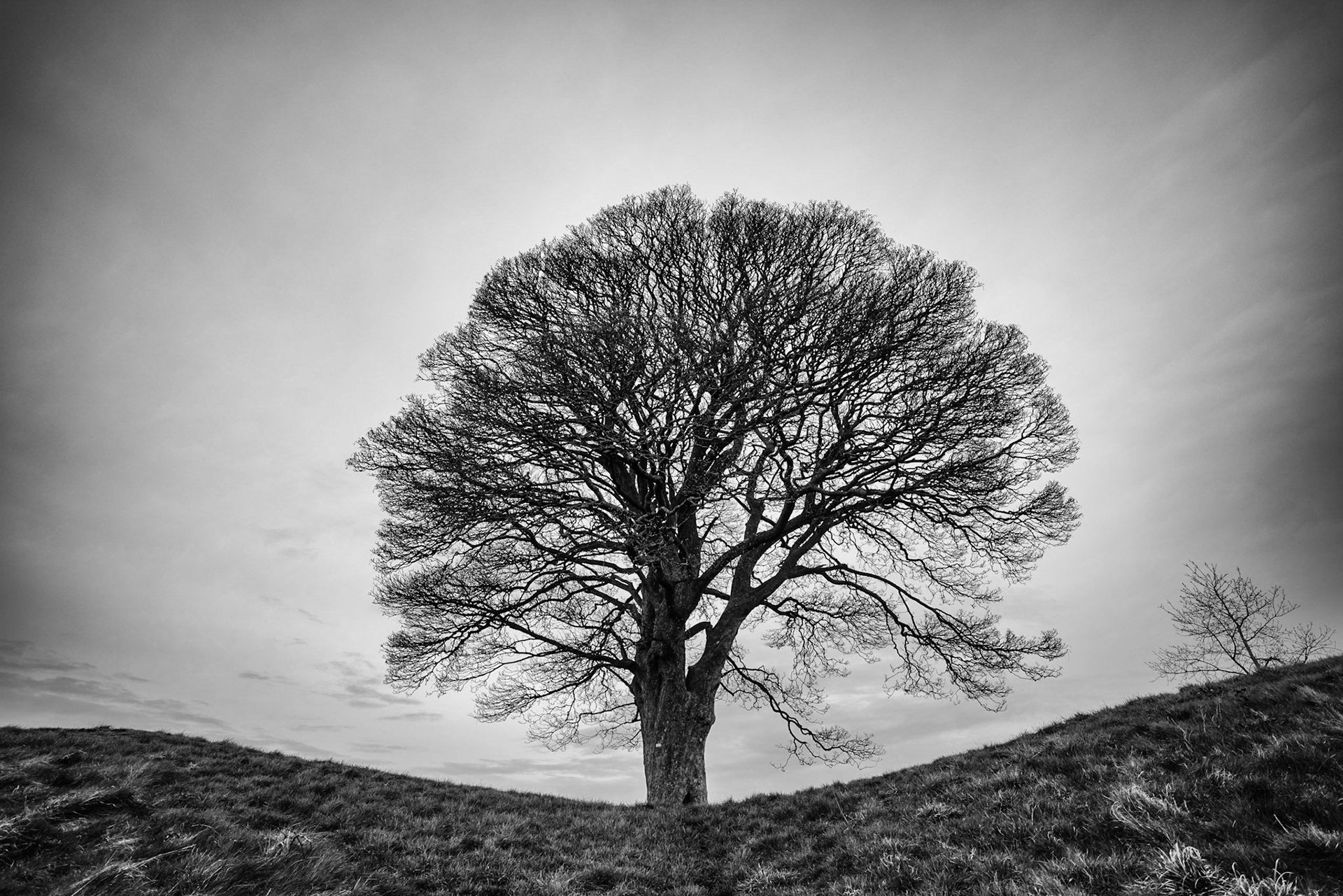 Back at the Giants Ring today