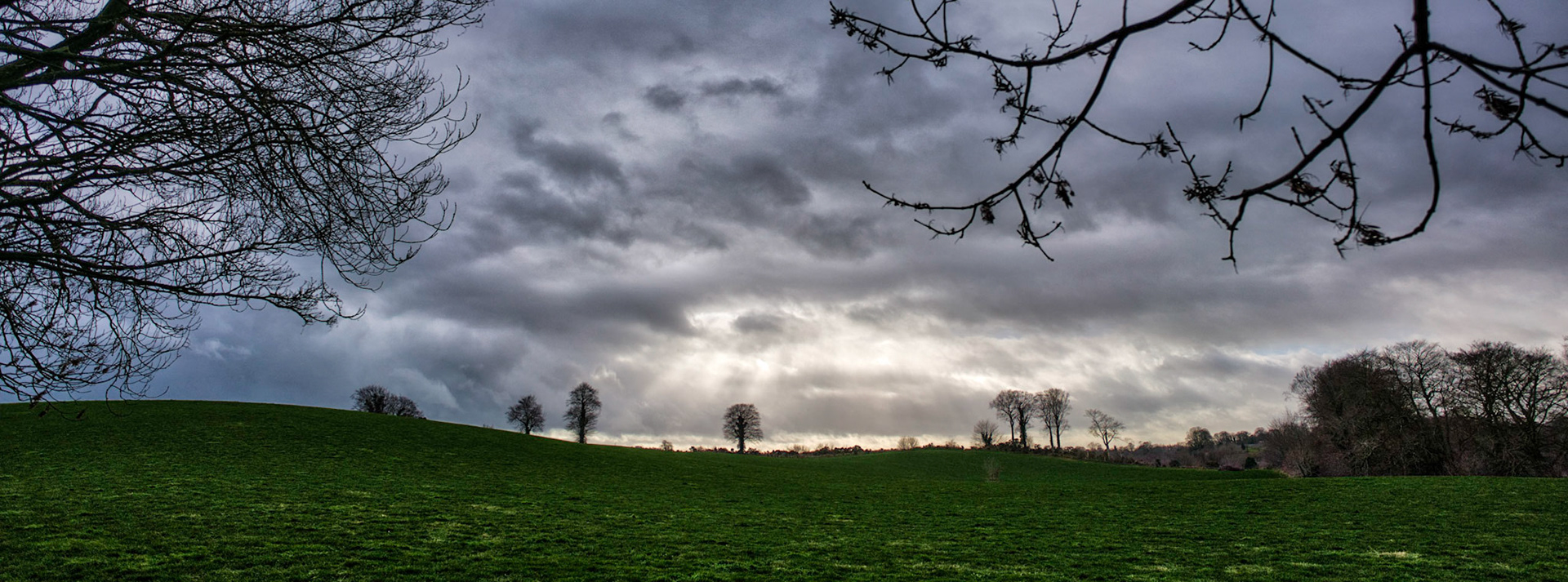 Dull walk with the dog, but the sun was trying to find a way through the clouds.