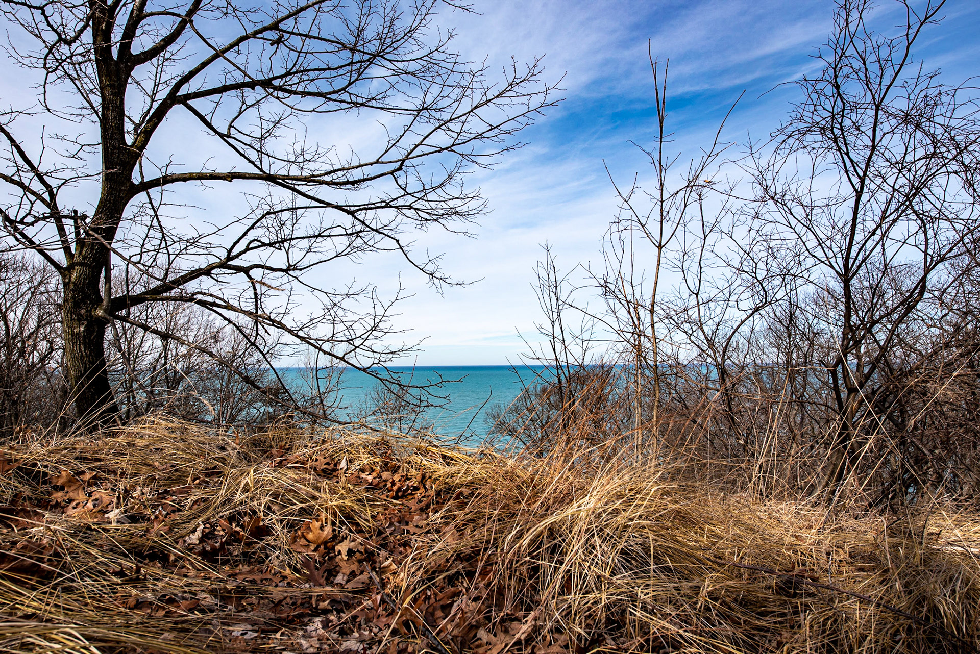 The Lake from Mt Holden, Indiana Dunes SP - February 2020