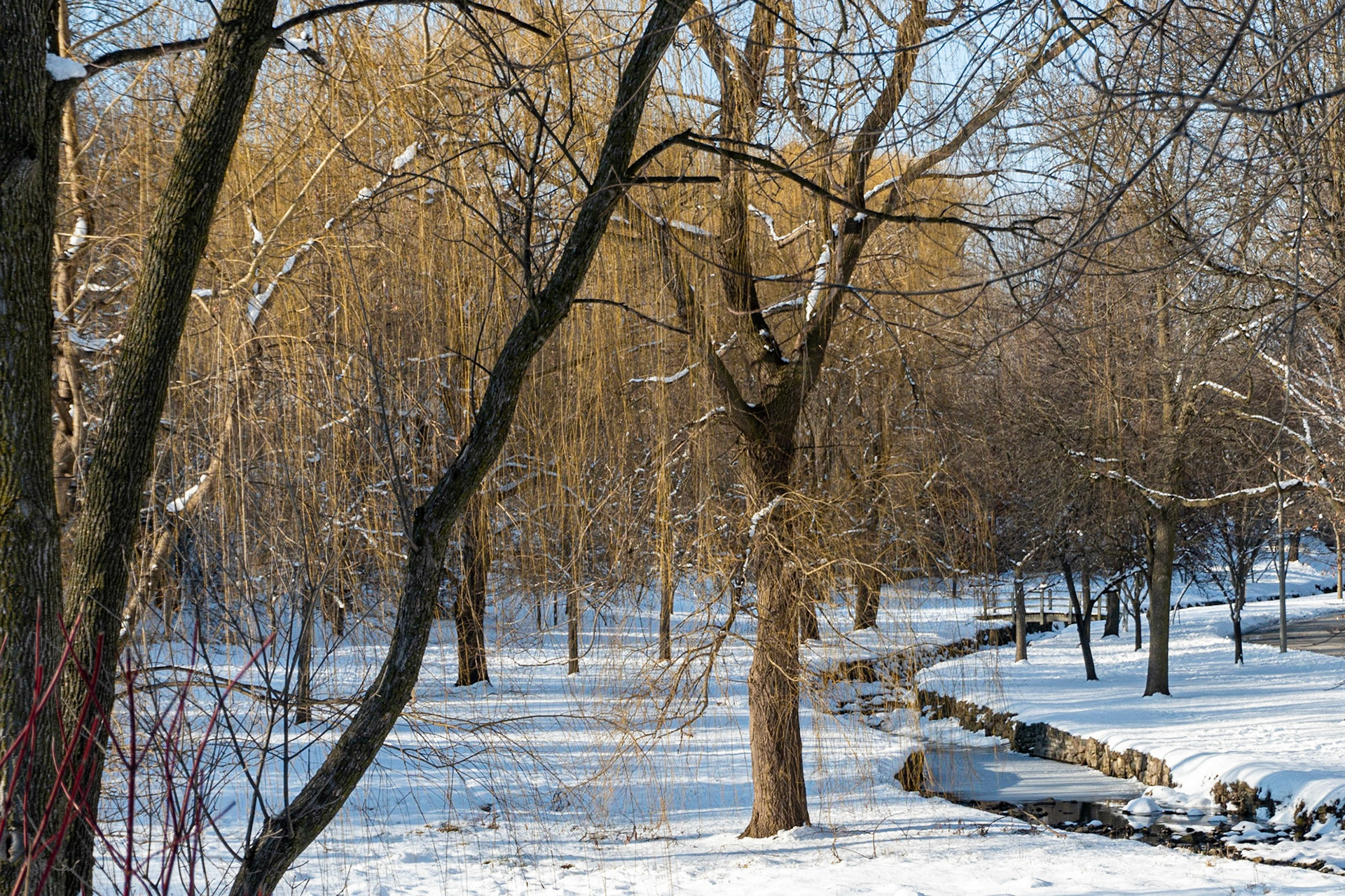 Milwaukee Ave - Wauwatosa, 2020