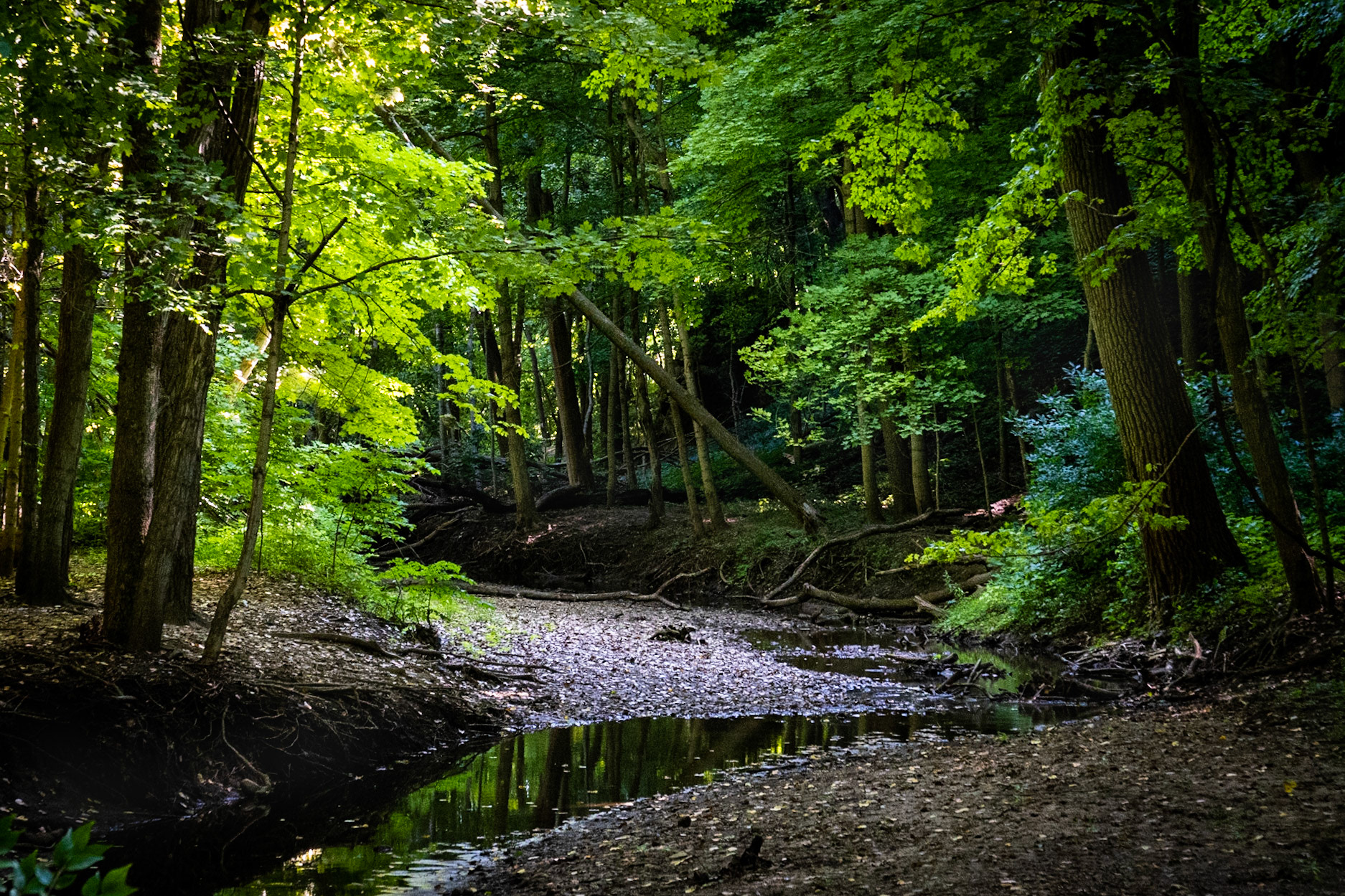 Illinois Canyon - Starved Rock SP, Utica IL - August 2020