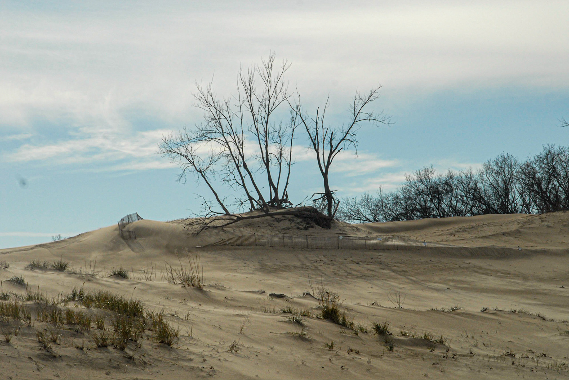 Mt Baldy - Indiana Nat'l Lake Shore,  November 2011