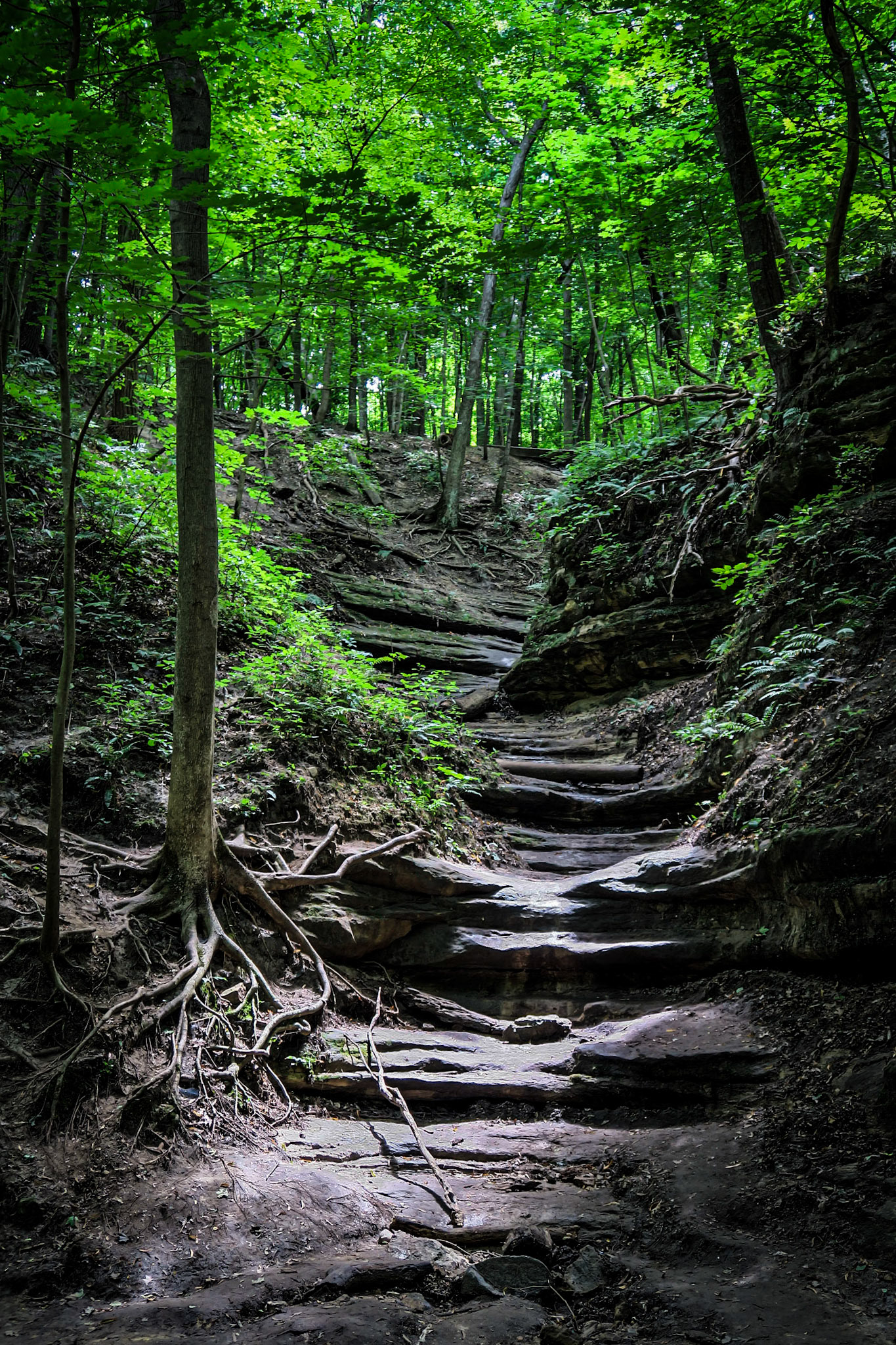 Upper Dells - Matthiessen SP - Utica IL, August 2020