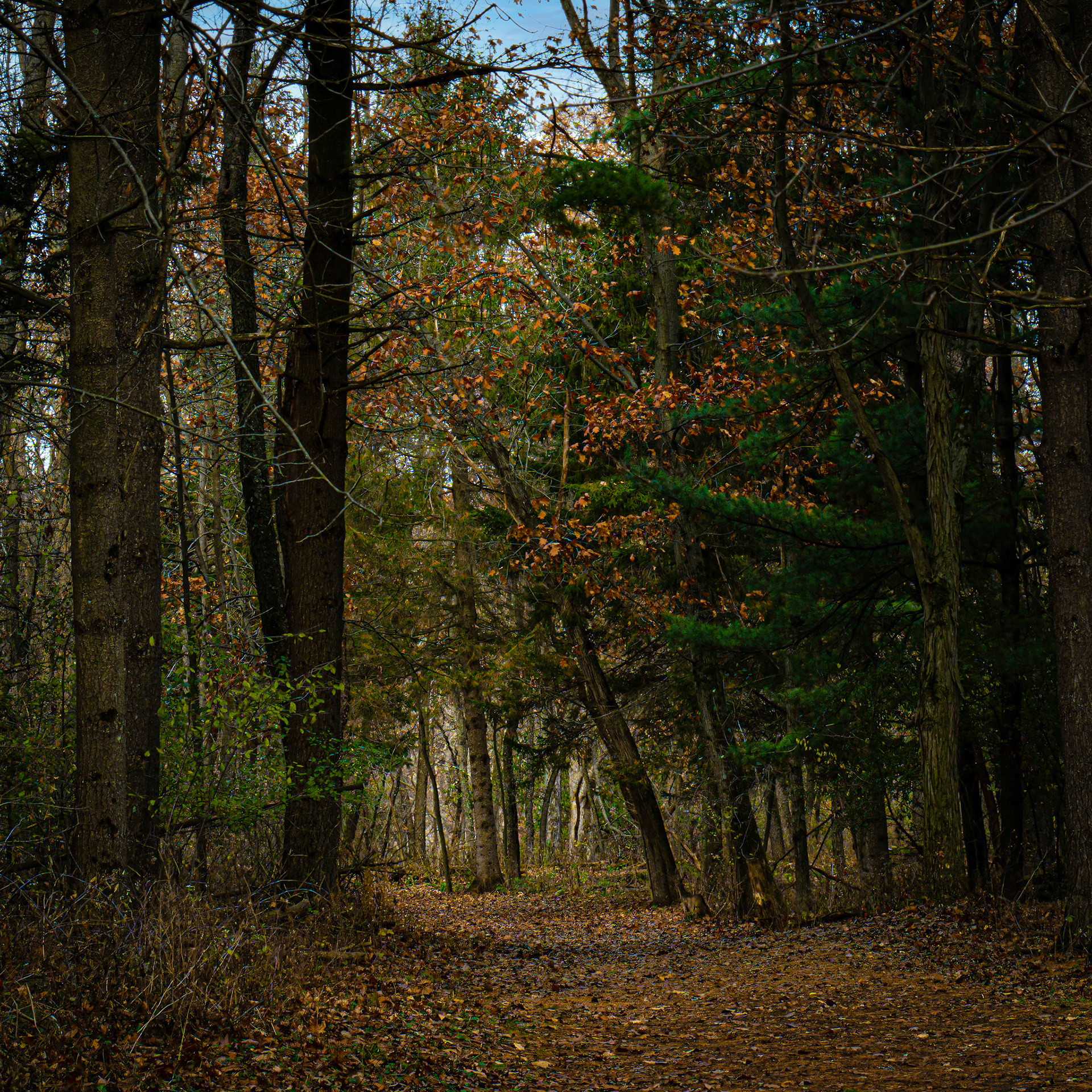 Lapham Peak SP - Delafield WI, 2021
