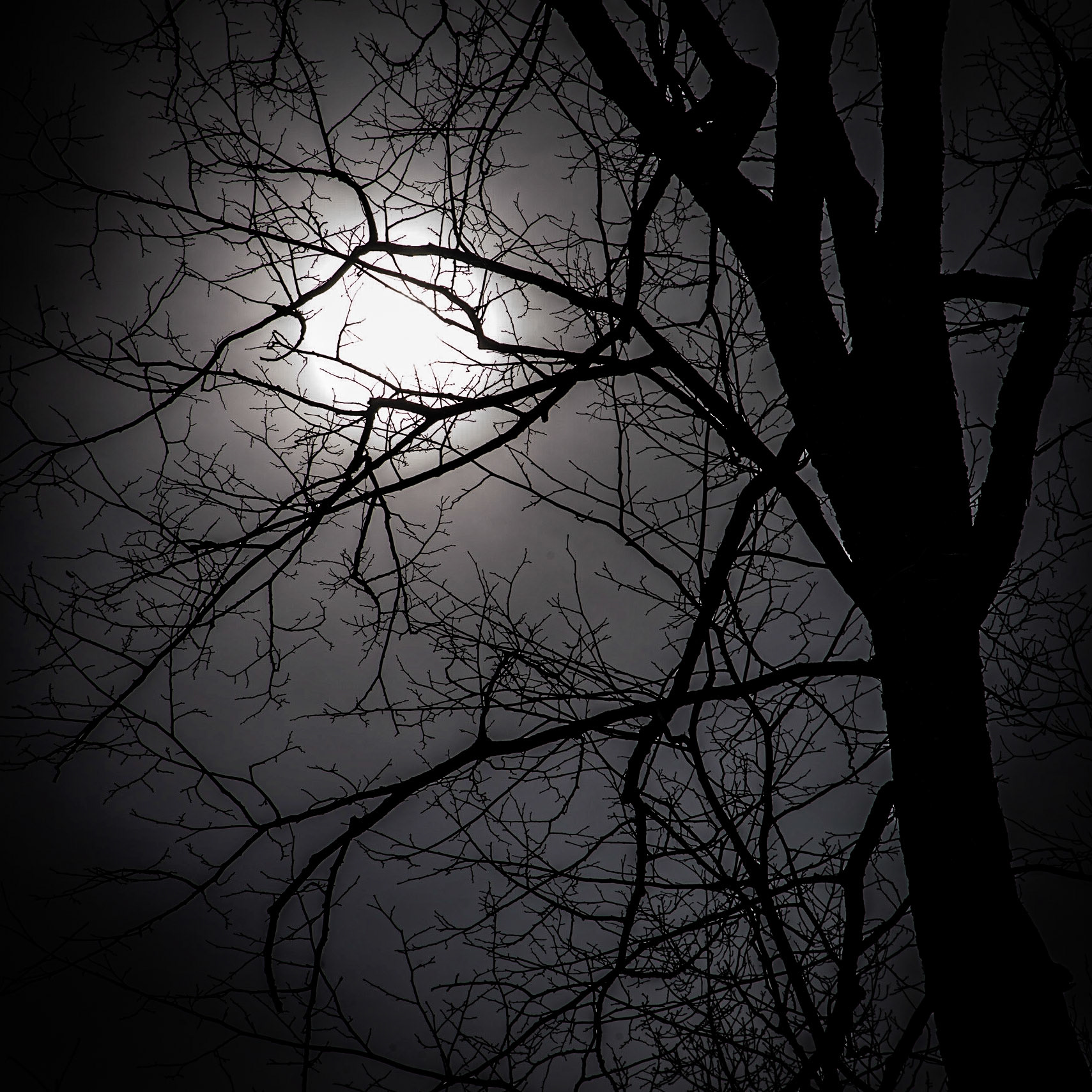 Hawthorn Glen, Milwaukee WI, April 2021