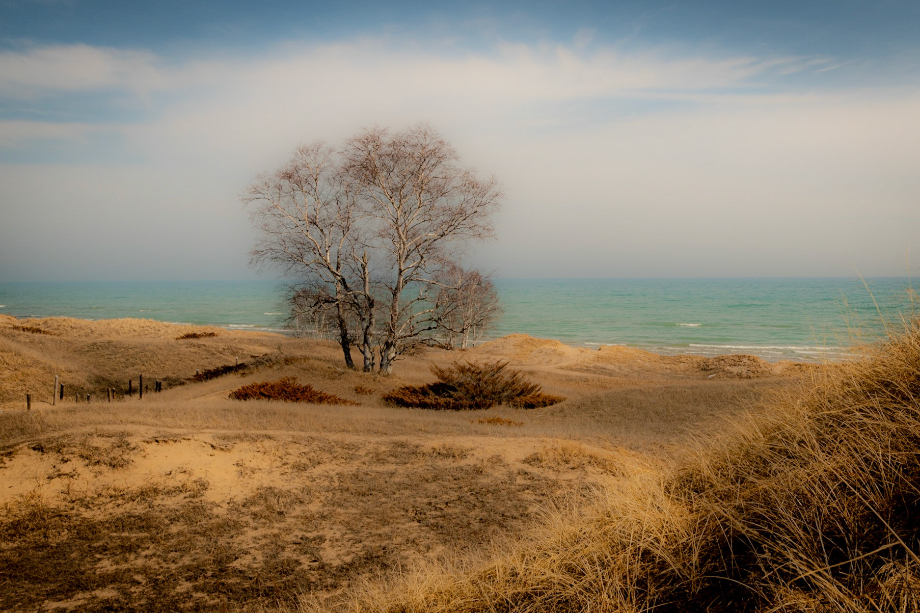 Kohler Andrea SP, Sheboygan WI 2021